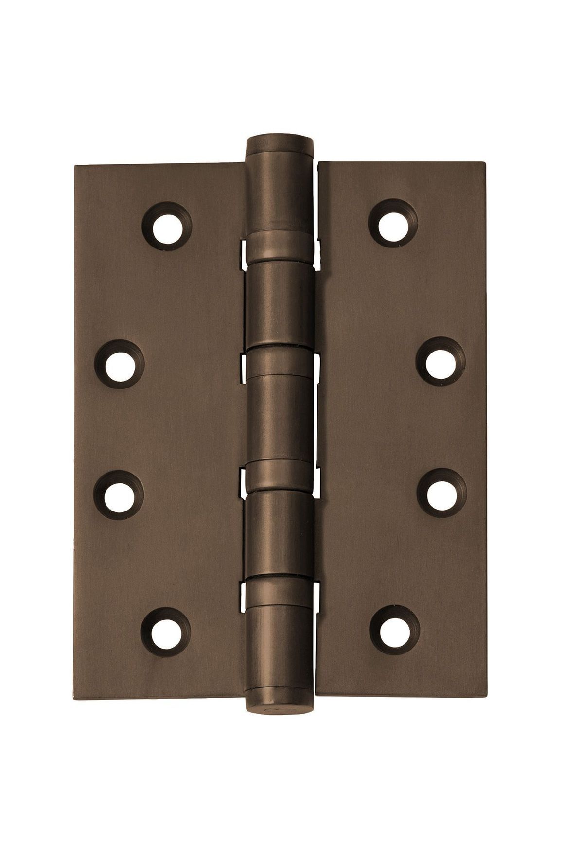 Ball Bearing Hinge - H100xW75mm