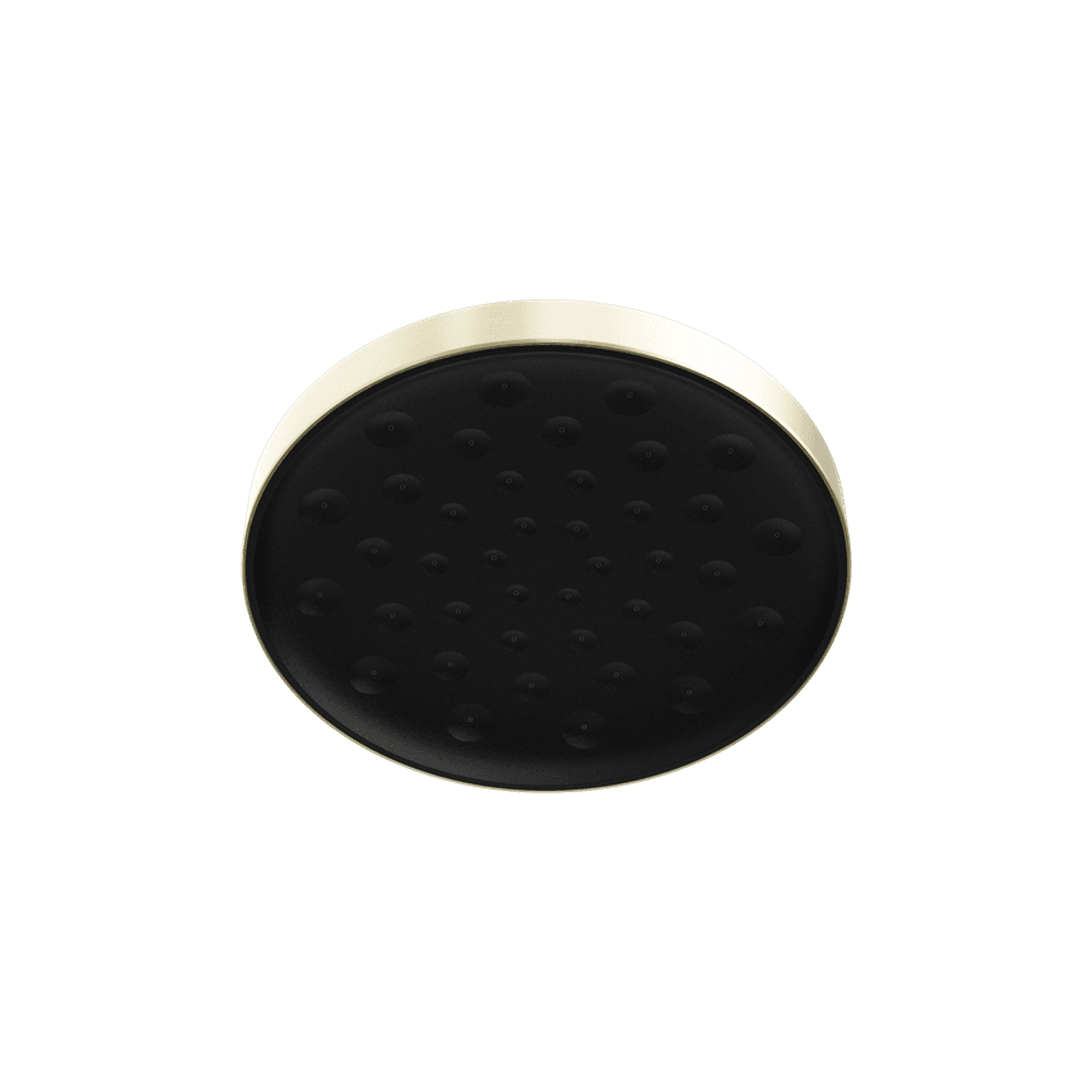 Serenity Shower Head Brushed Gold