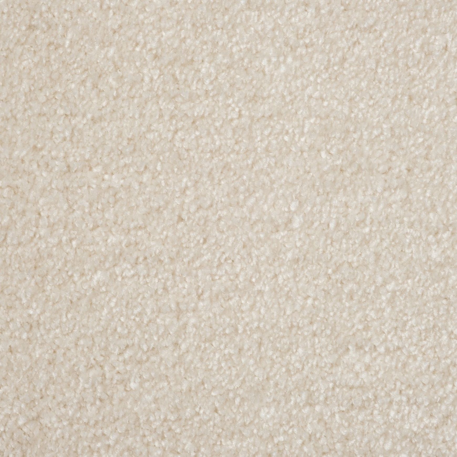Evoke 2605