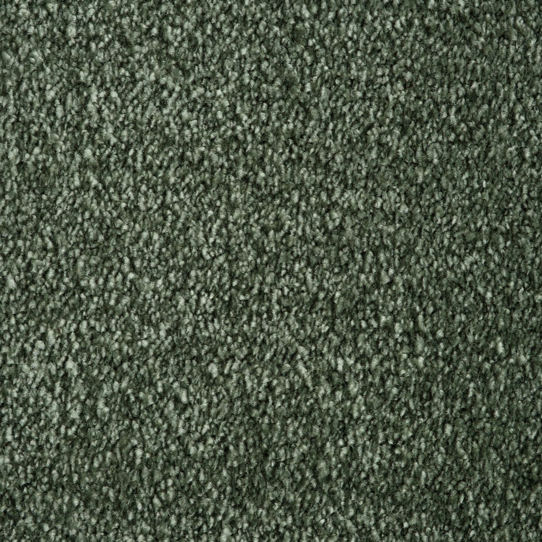 Evoke 2605