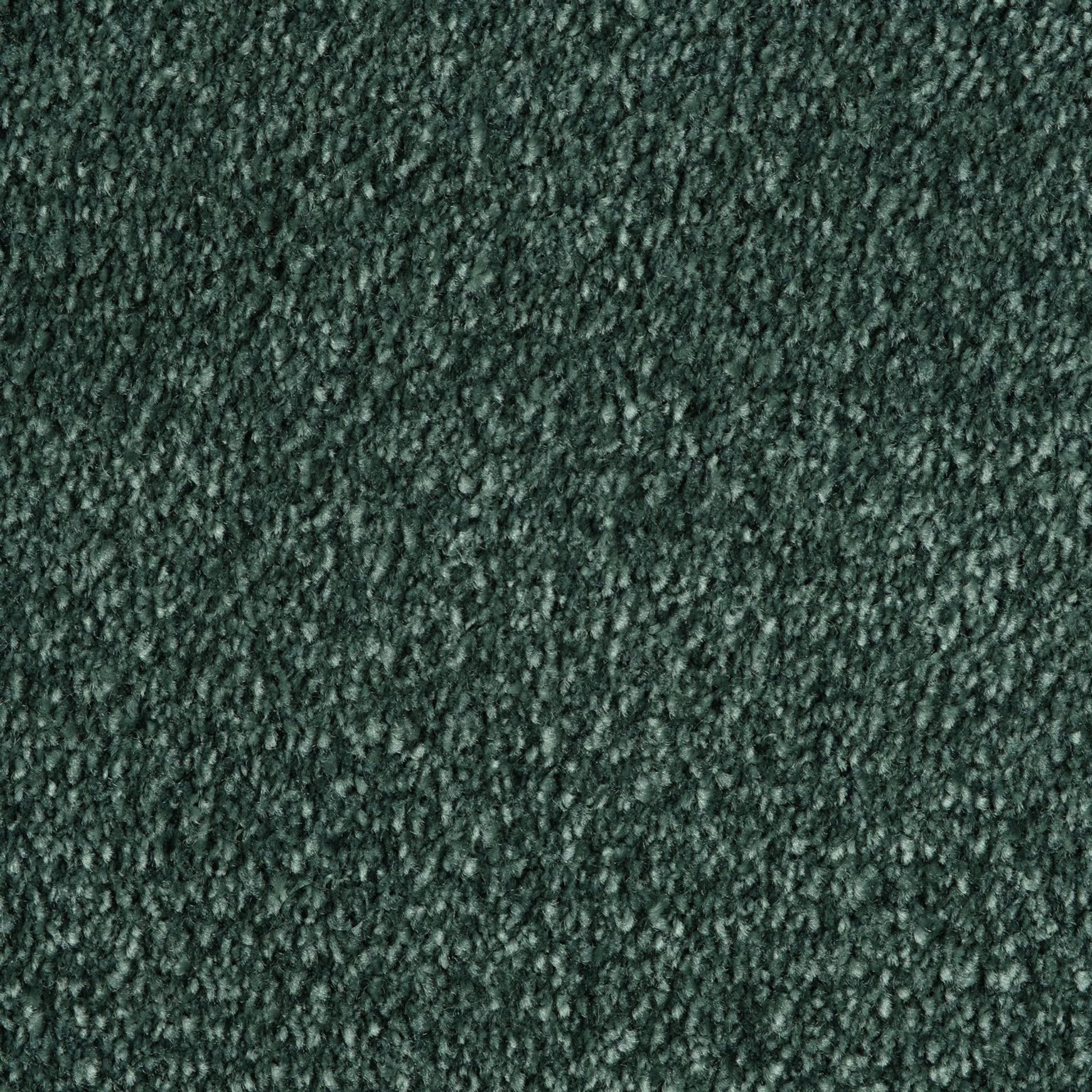 Evoke 2605