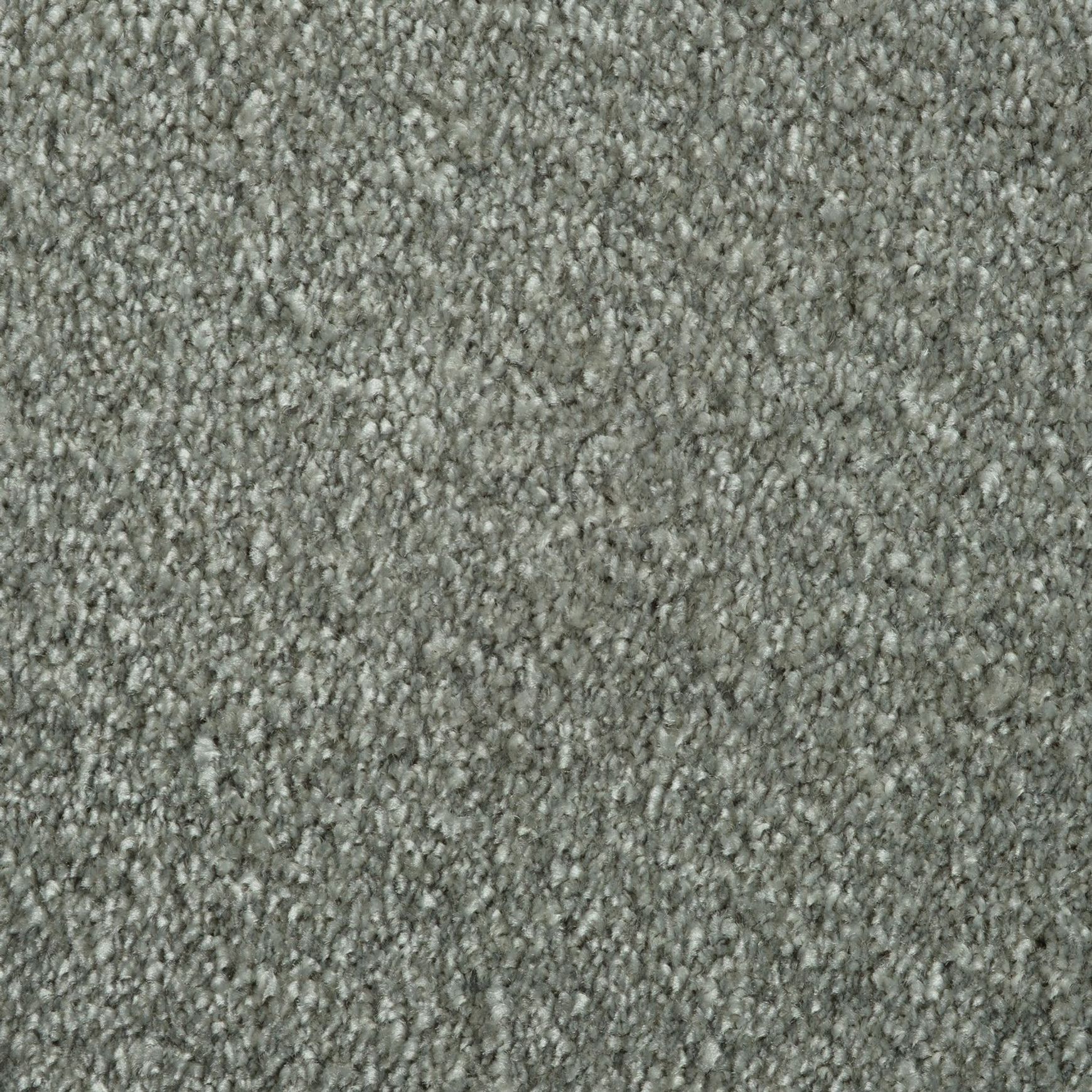 Evoke 2605