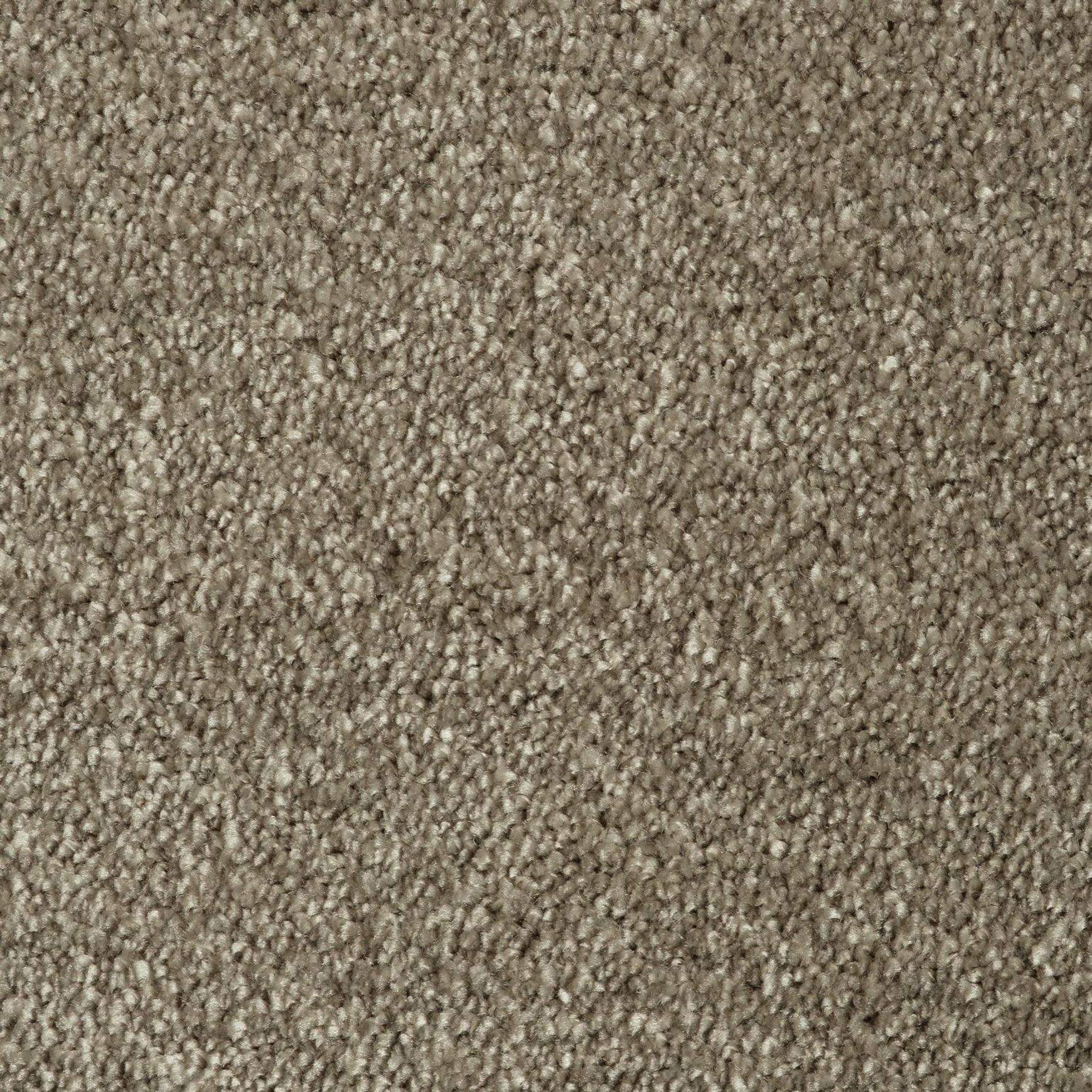 Evoke 2605