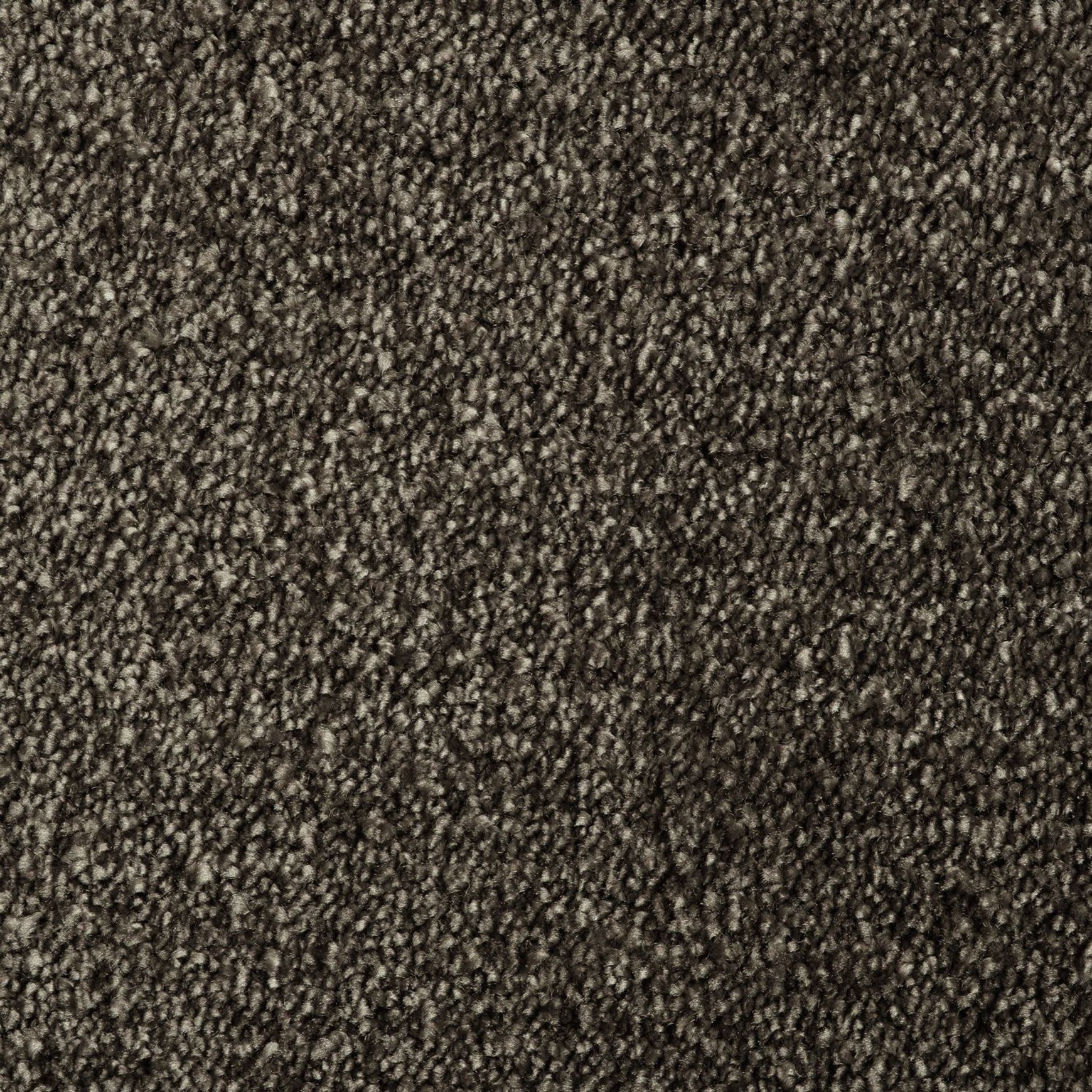 Evoke 2605