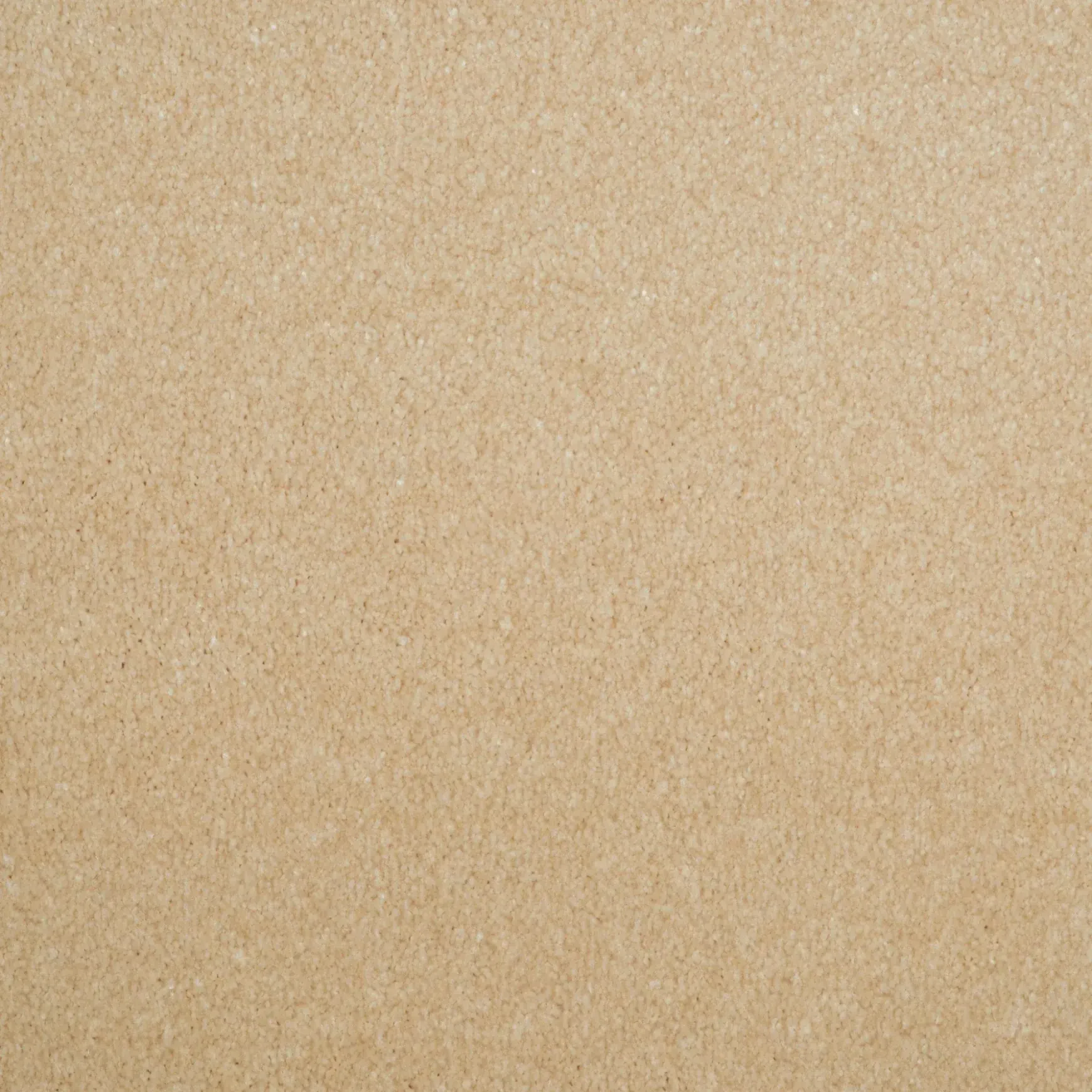 Evoke 2606