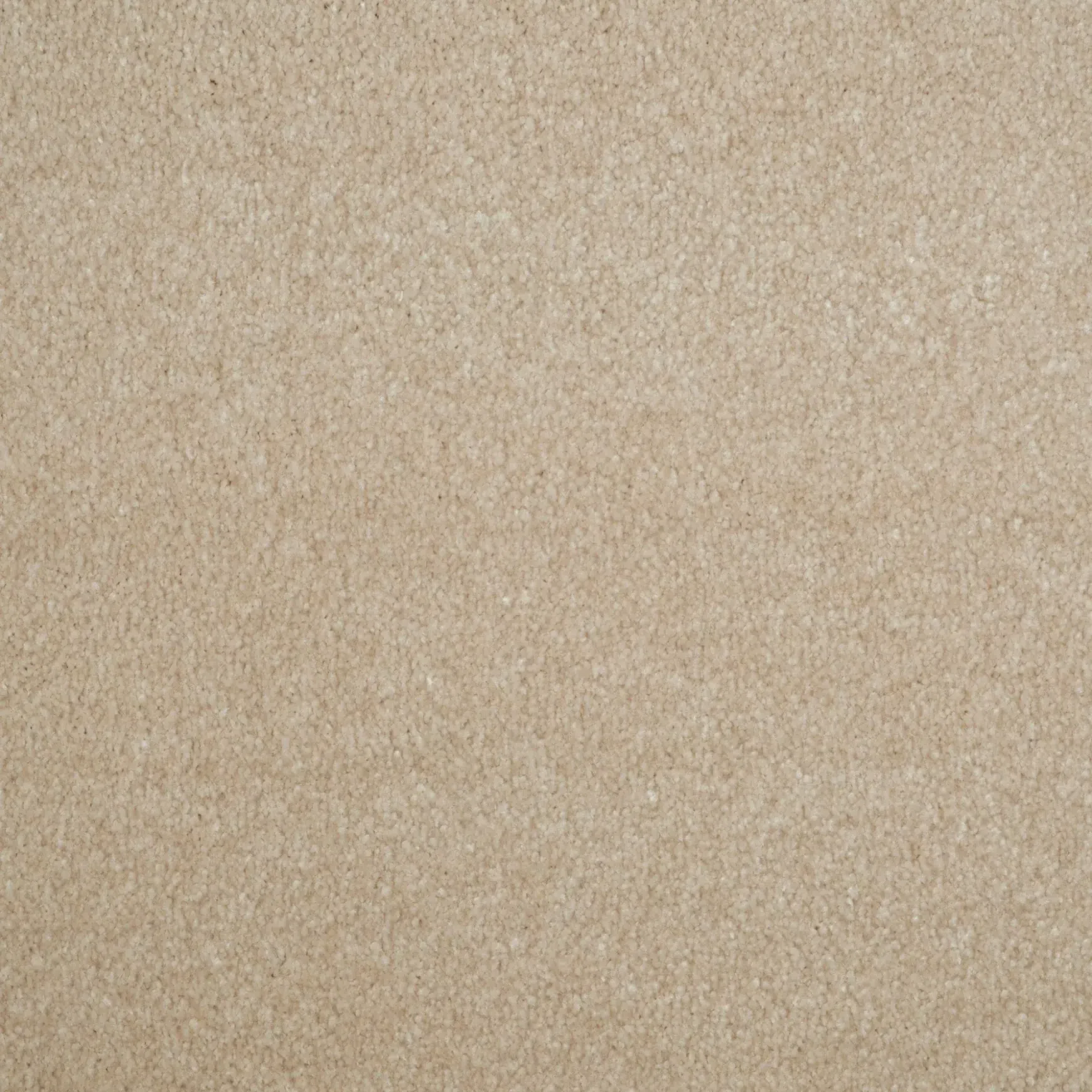 Evoke 2606