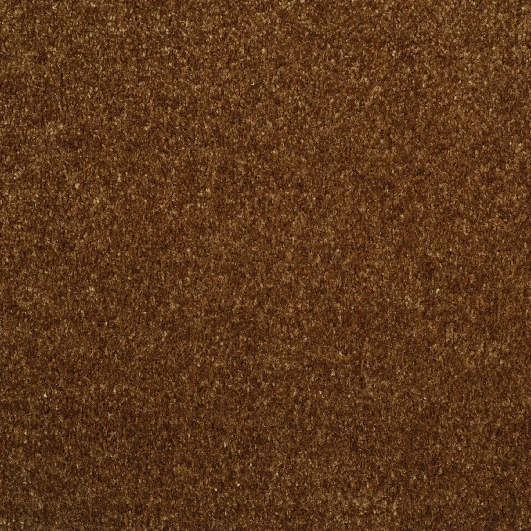 Evoke 2606