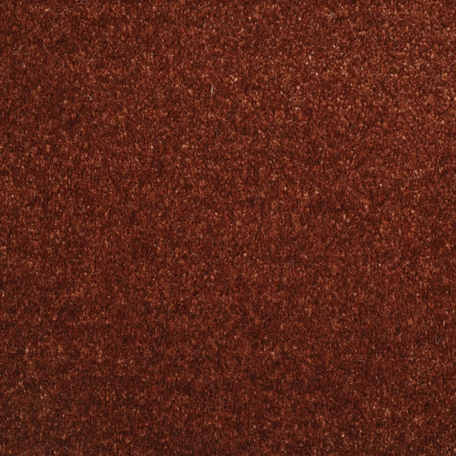 Evoke 2606