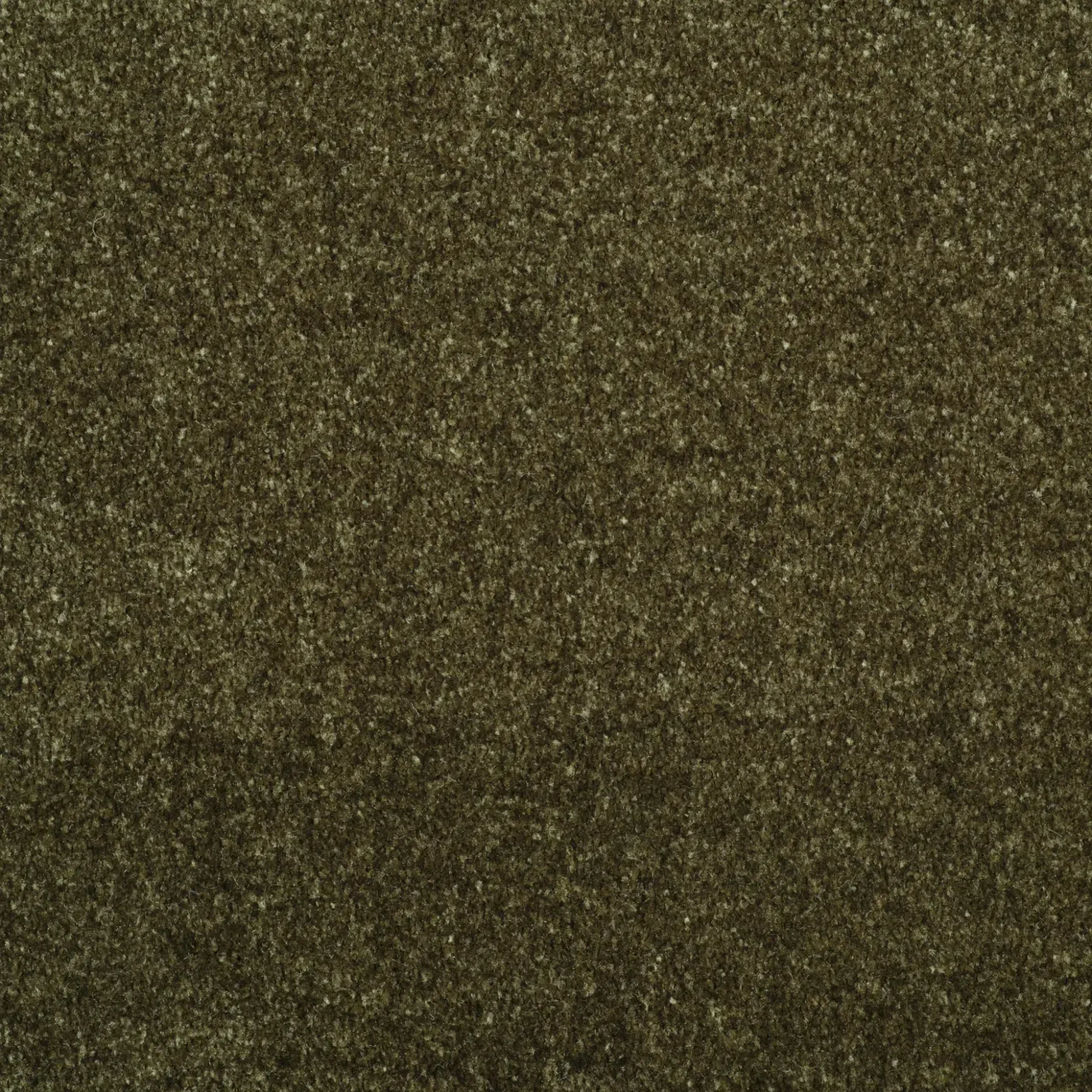 Evoke 2606