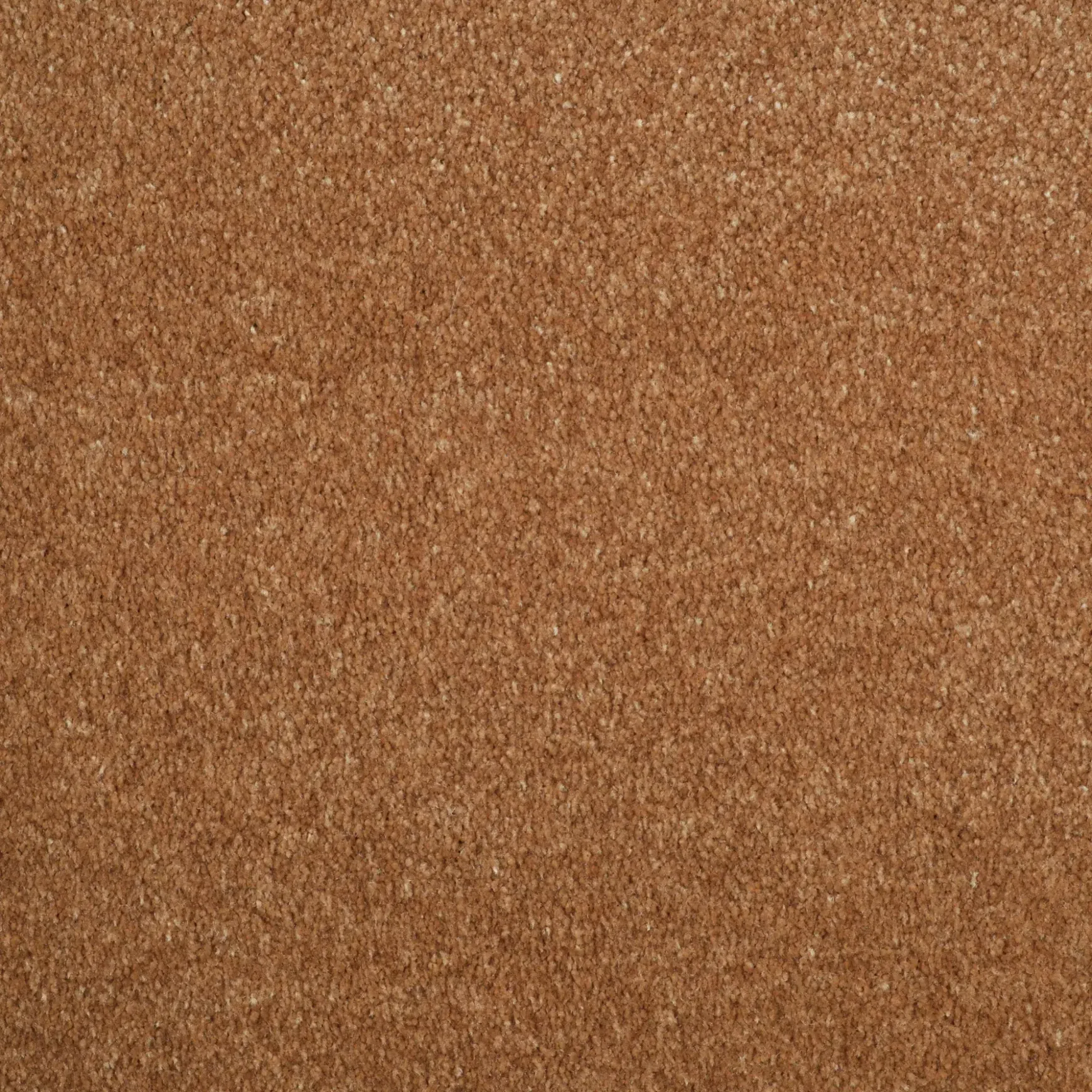 Evoke 2606