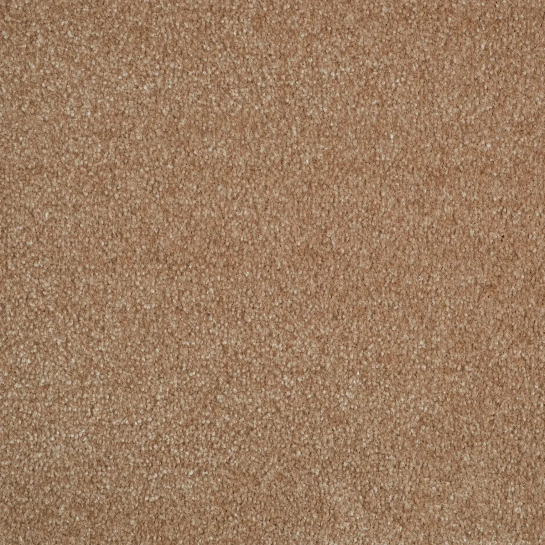 Evoke 2606
