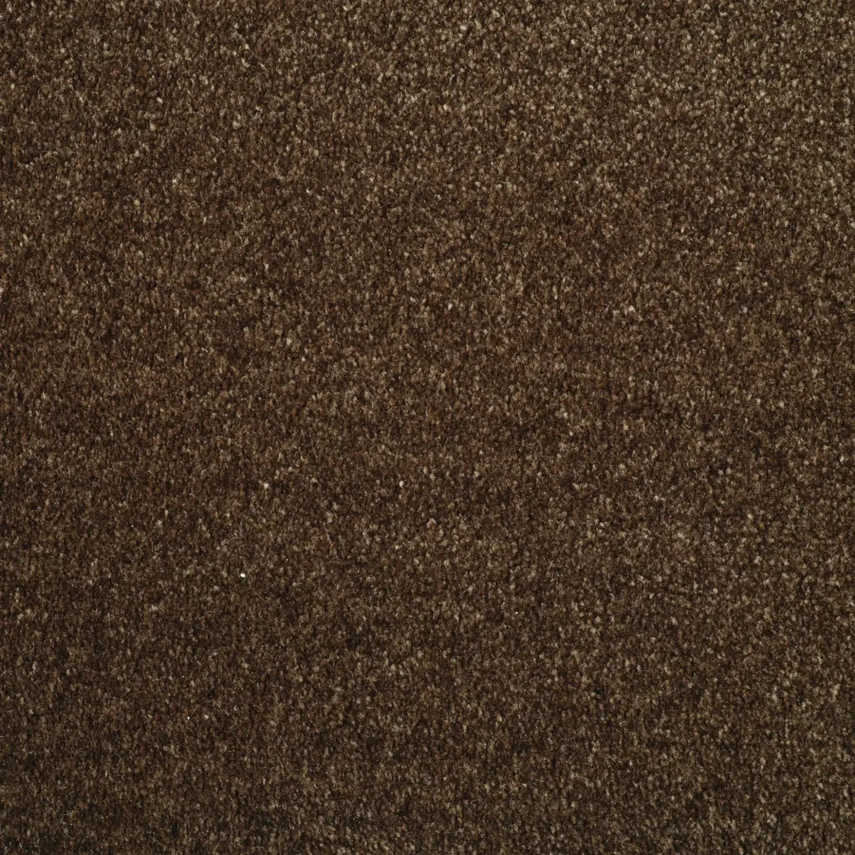 Evoke 2606