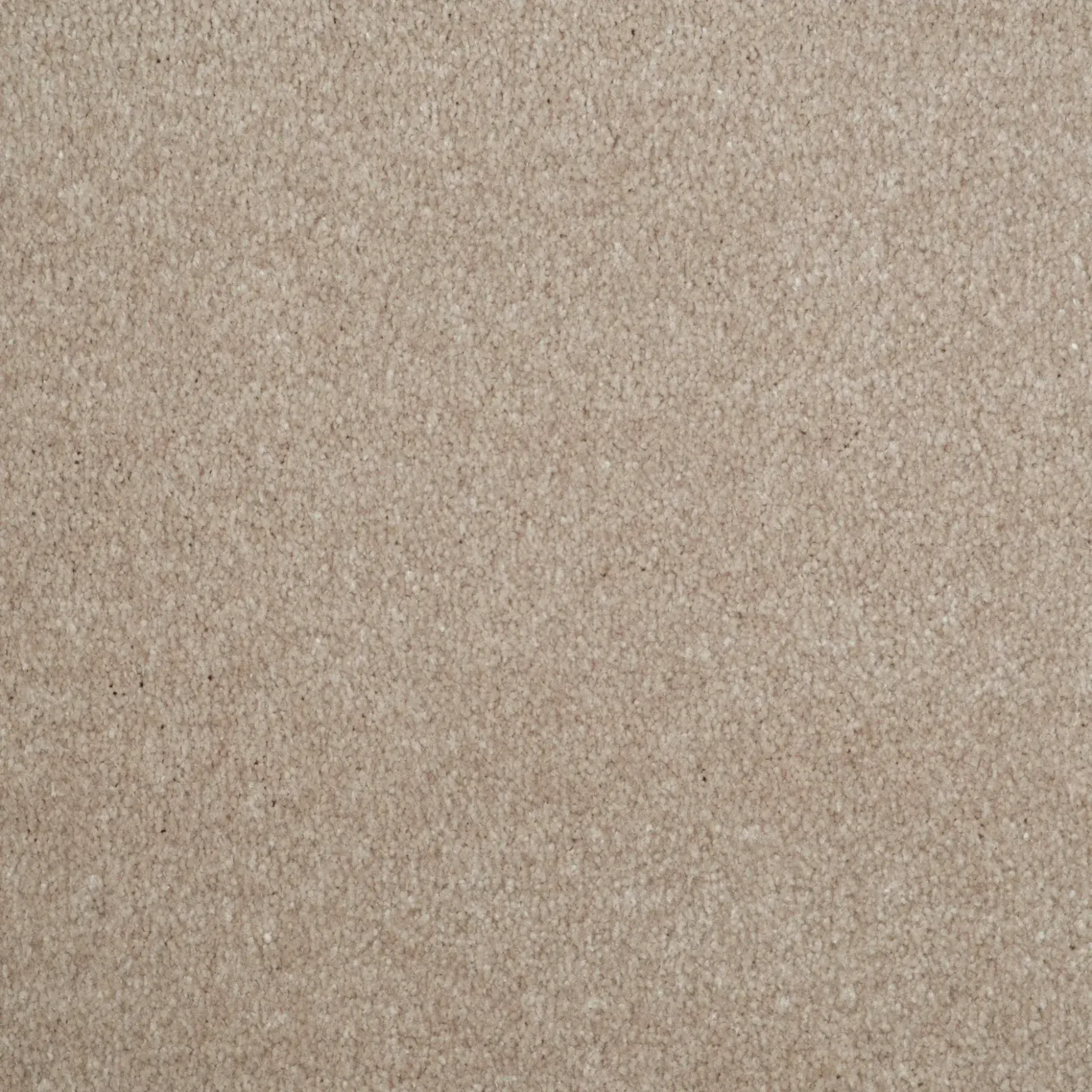 Evoke 2606