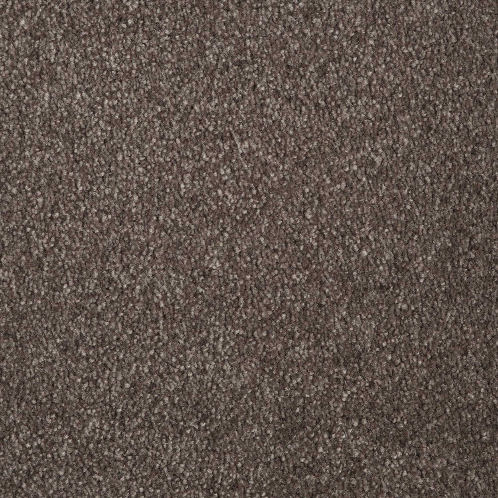 Evoke 2606