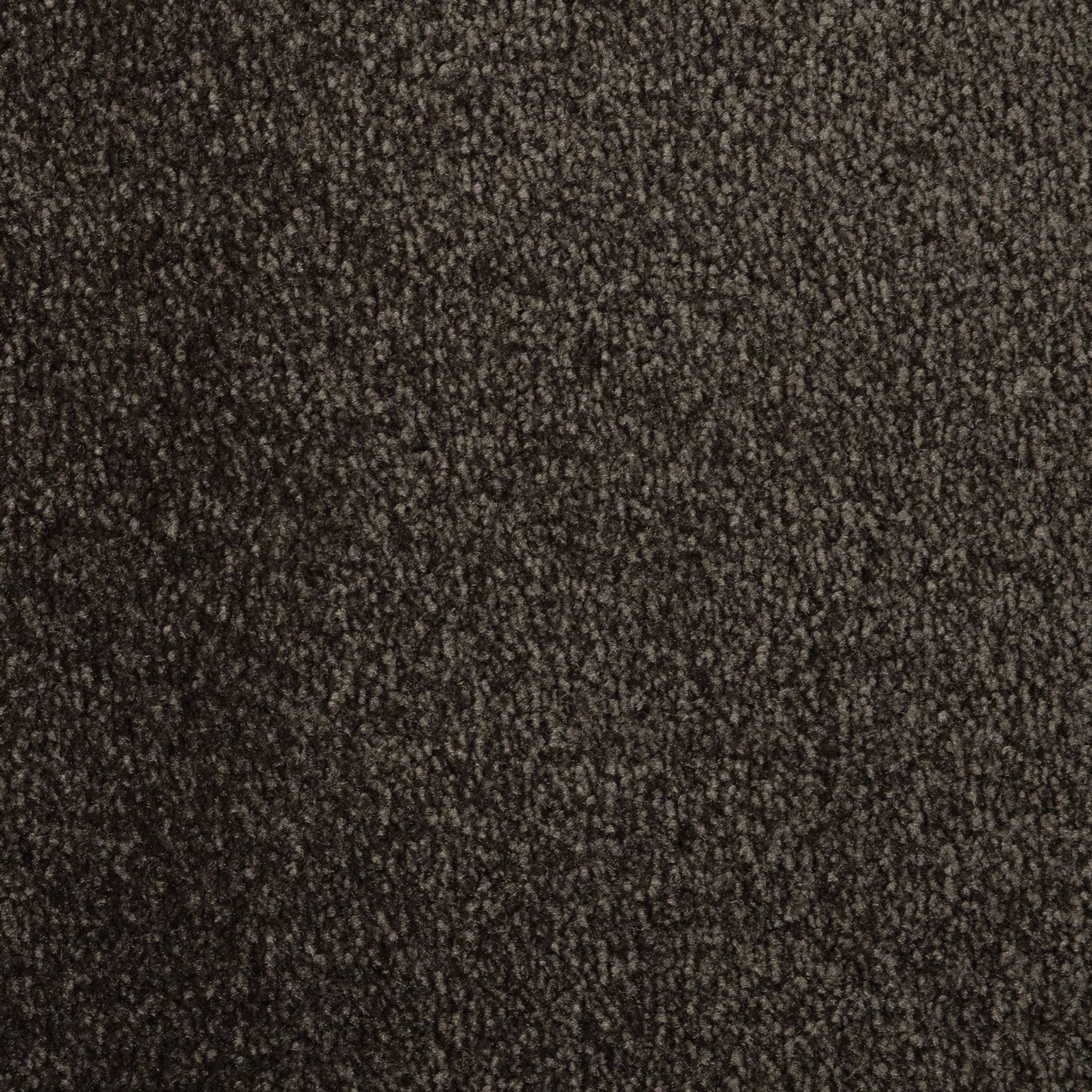 Evoke 2606