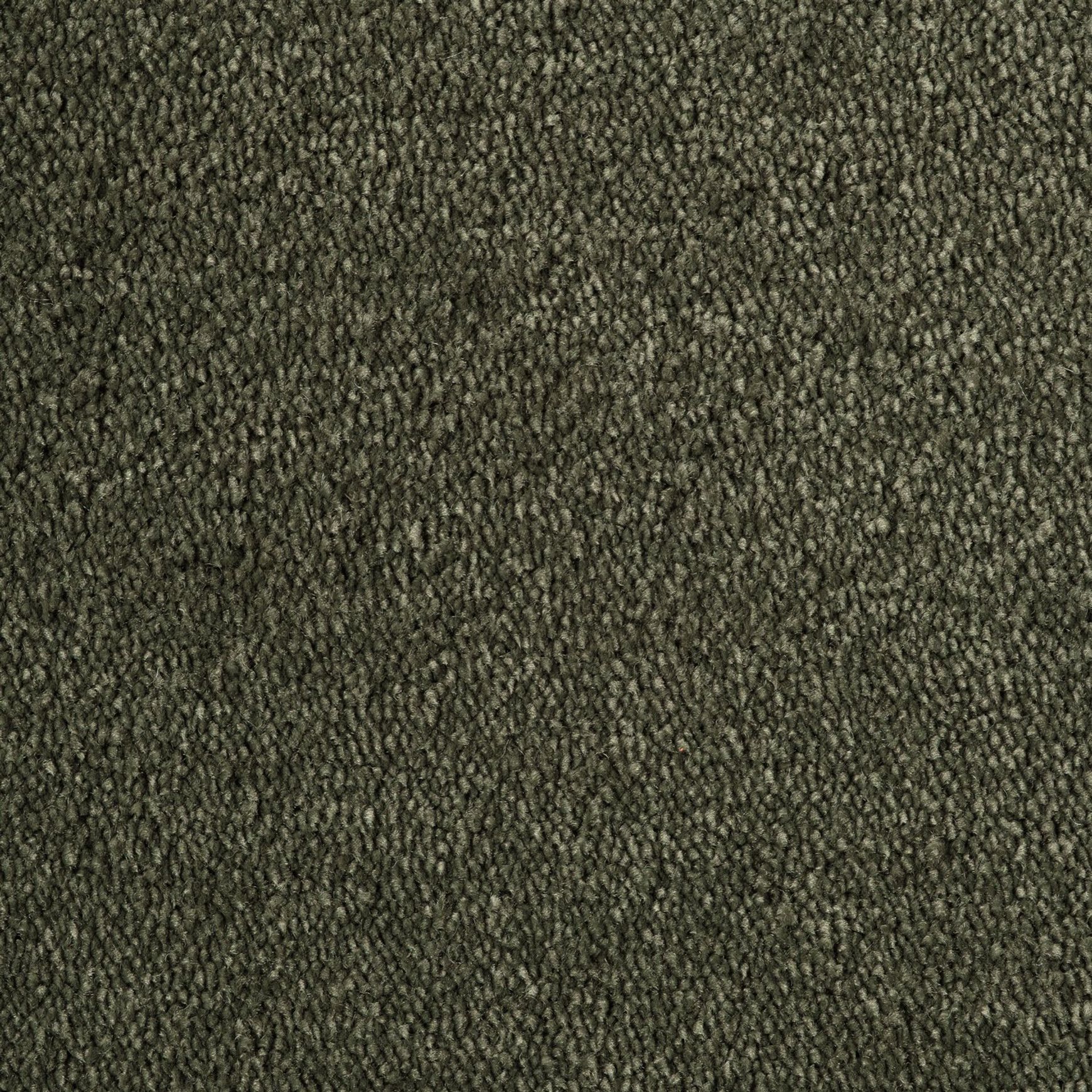 Evoke 2607