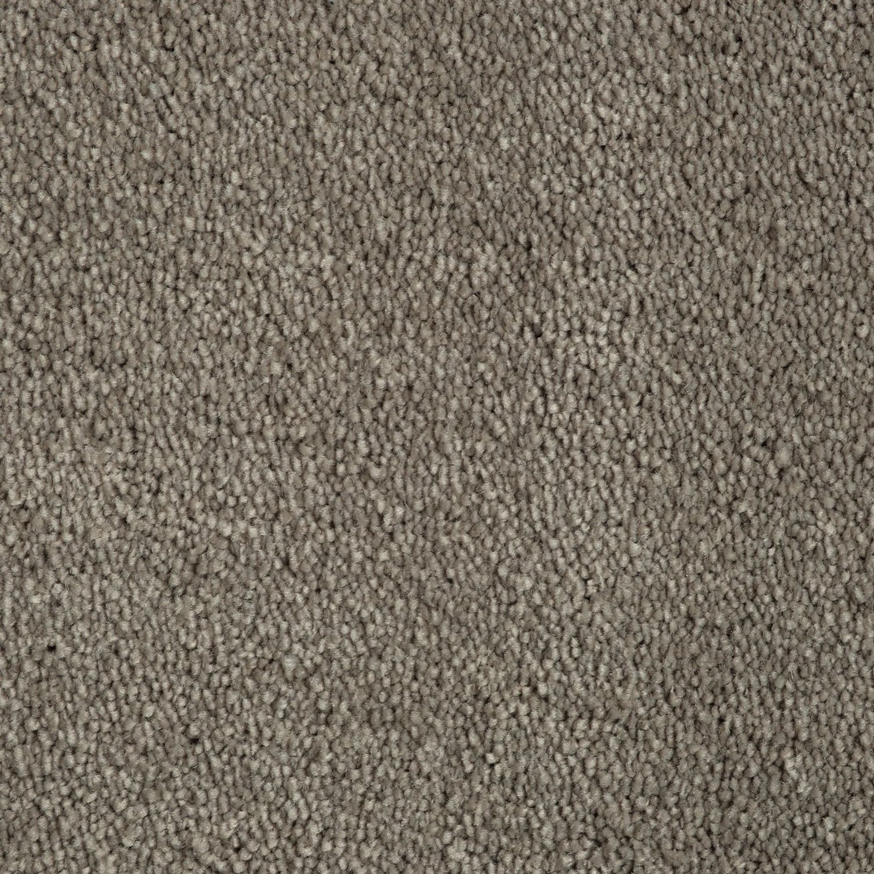 Evoke 2607
