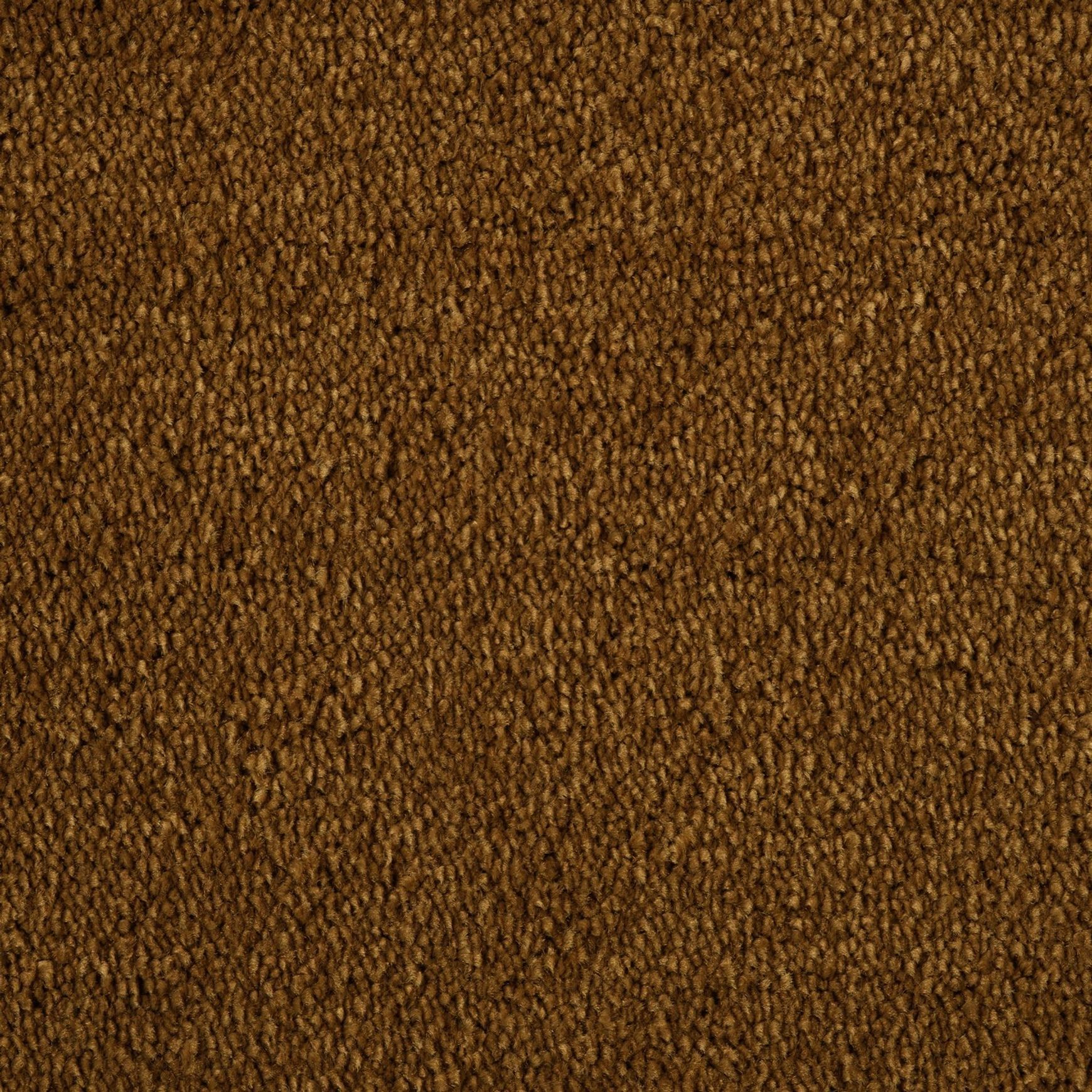Evoke 2607