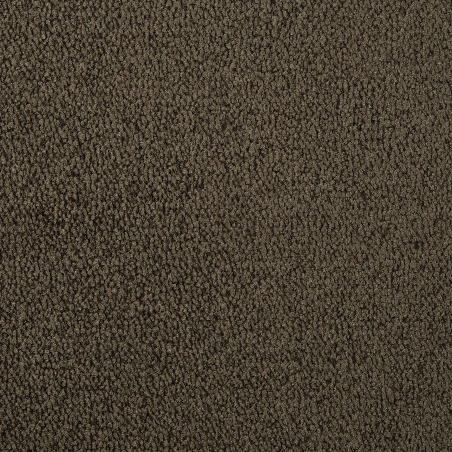 Evoke 2607