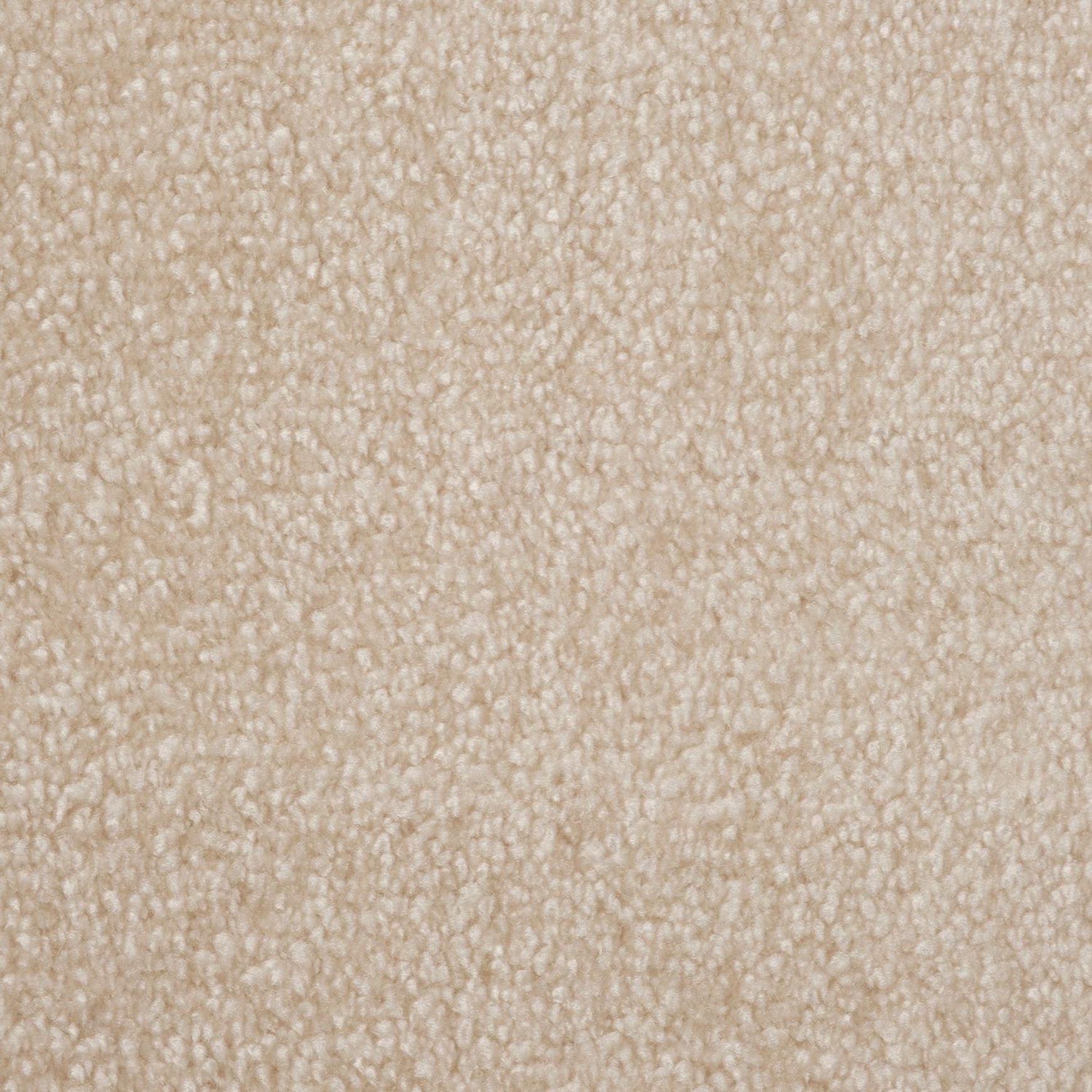 Evoke 2608