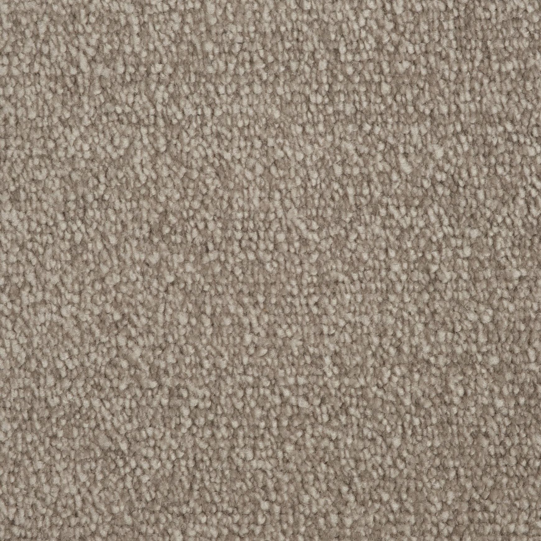 Evoke 2608