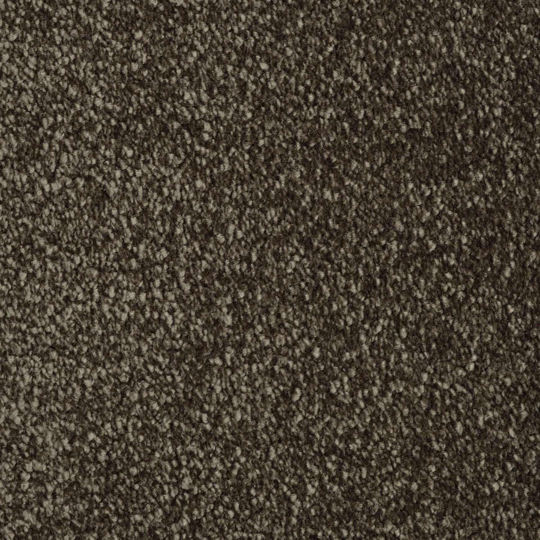 Evoke 2608
