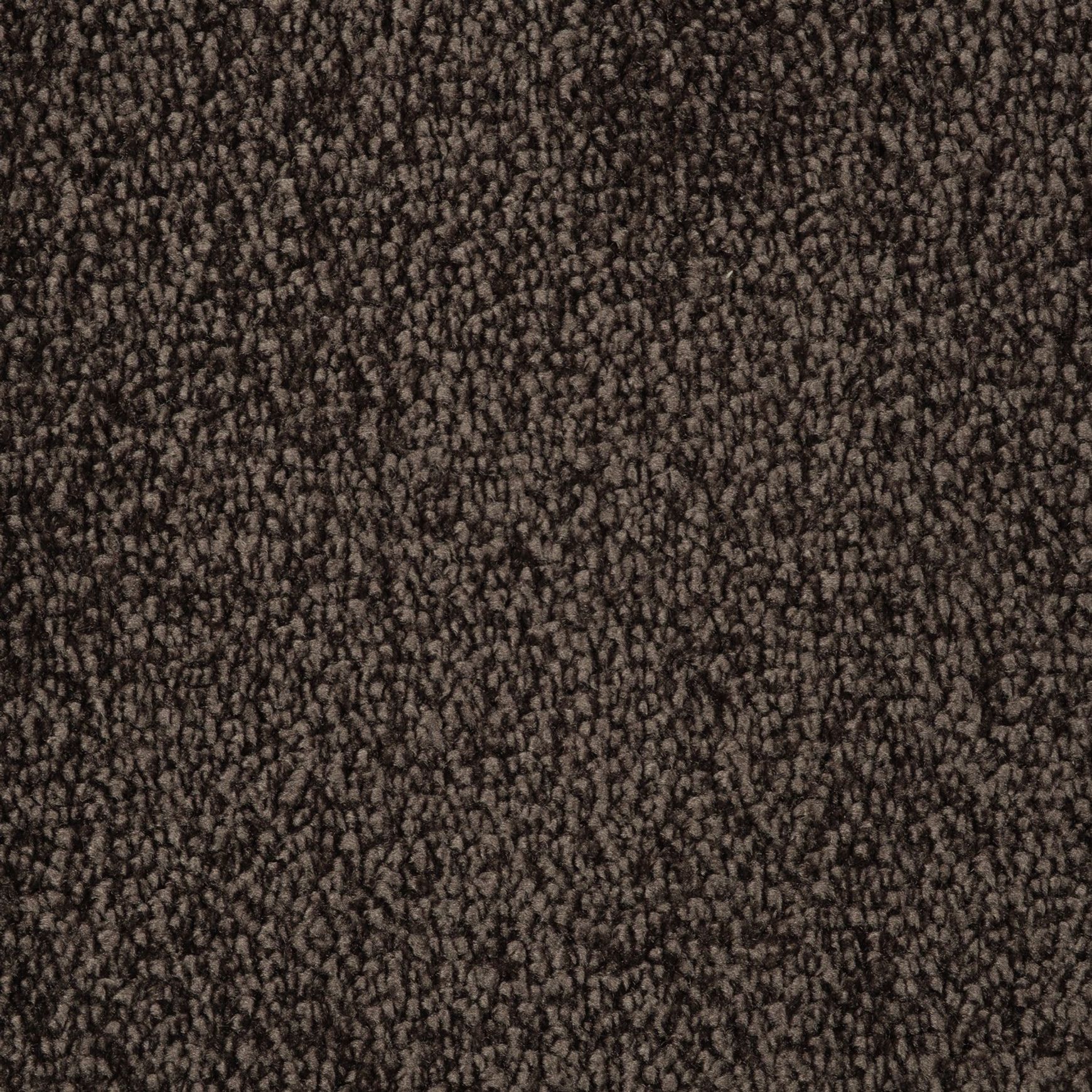 Evoke 2608