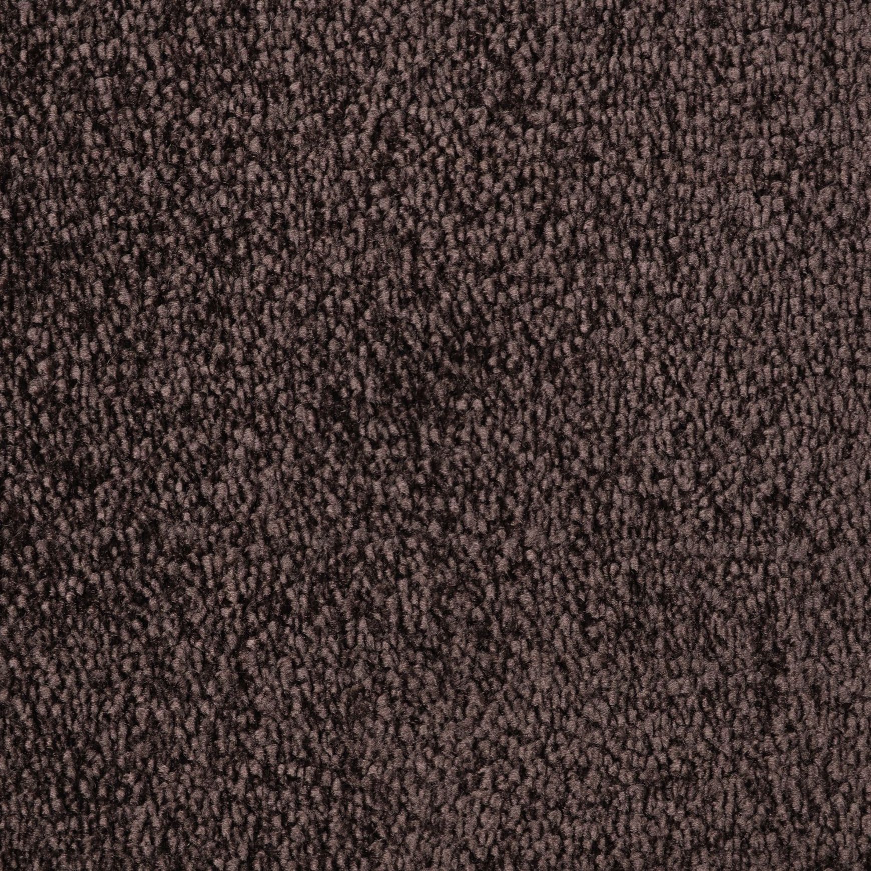 Evoke 2608