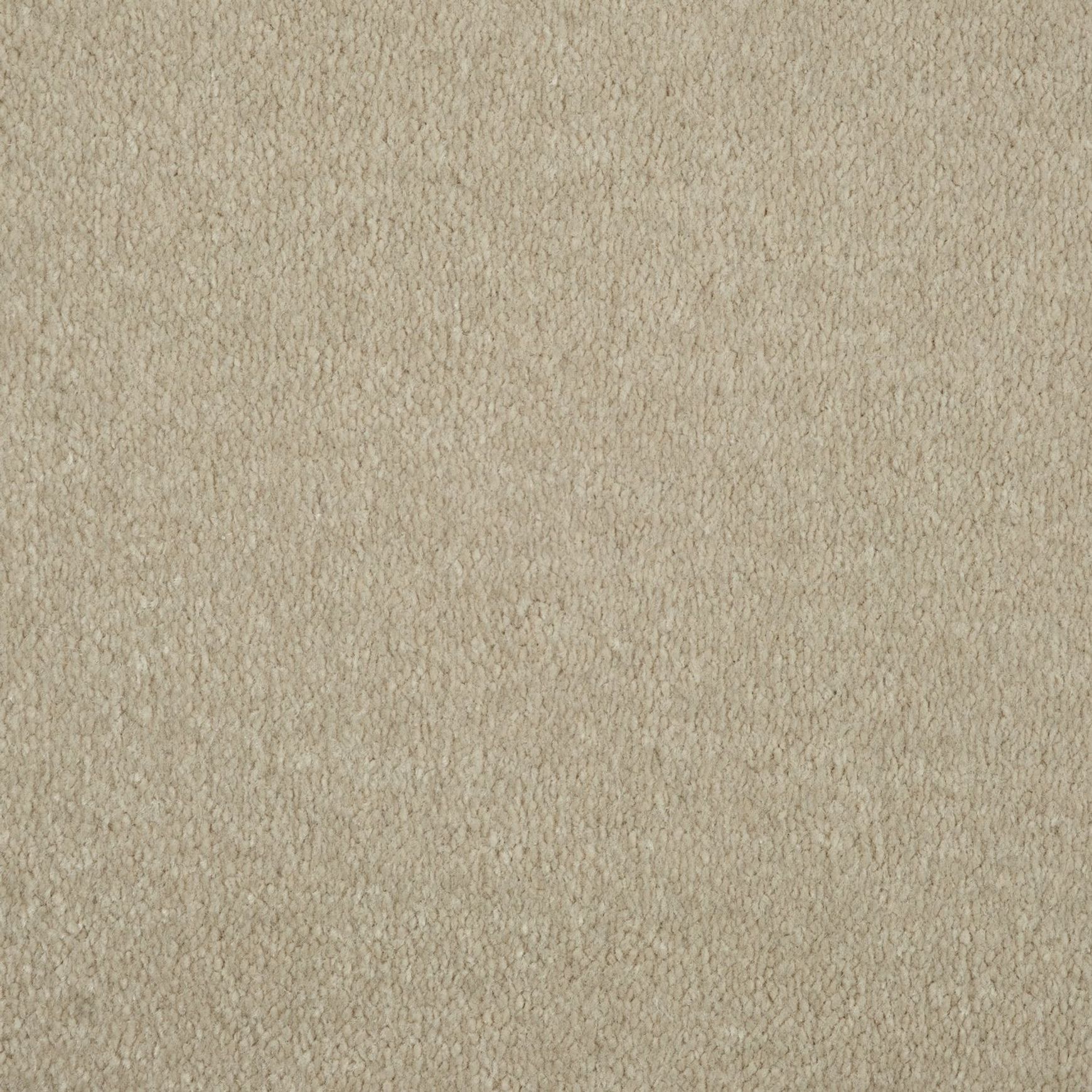 Evoke 2609