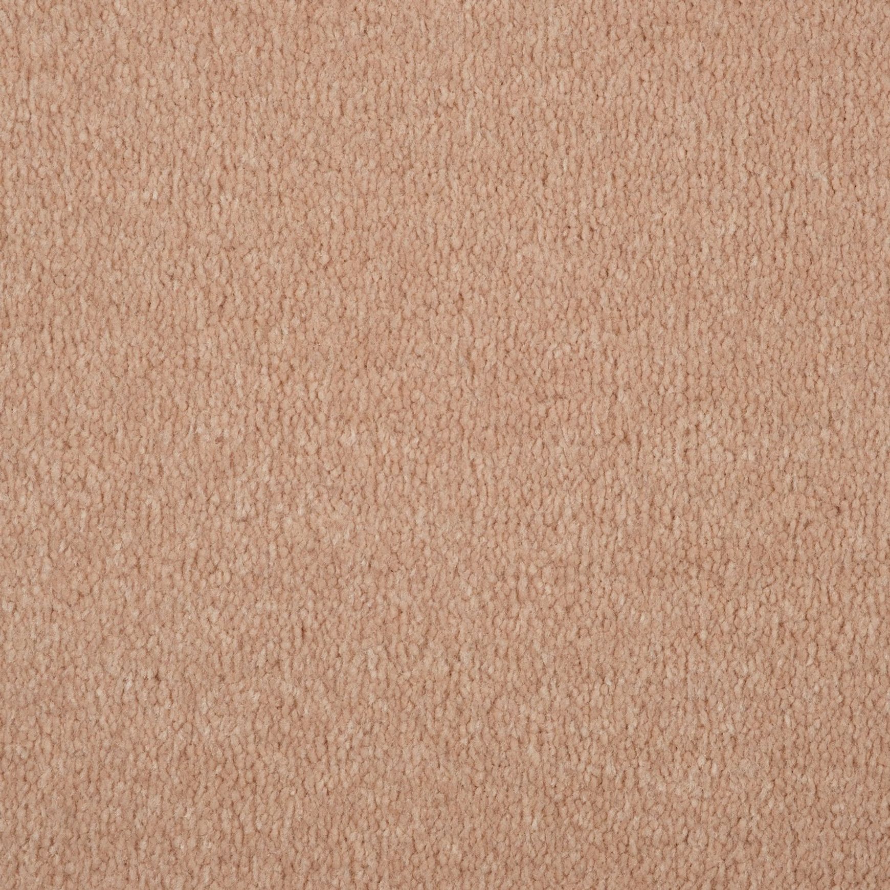 Evoke 2609