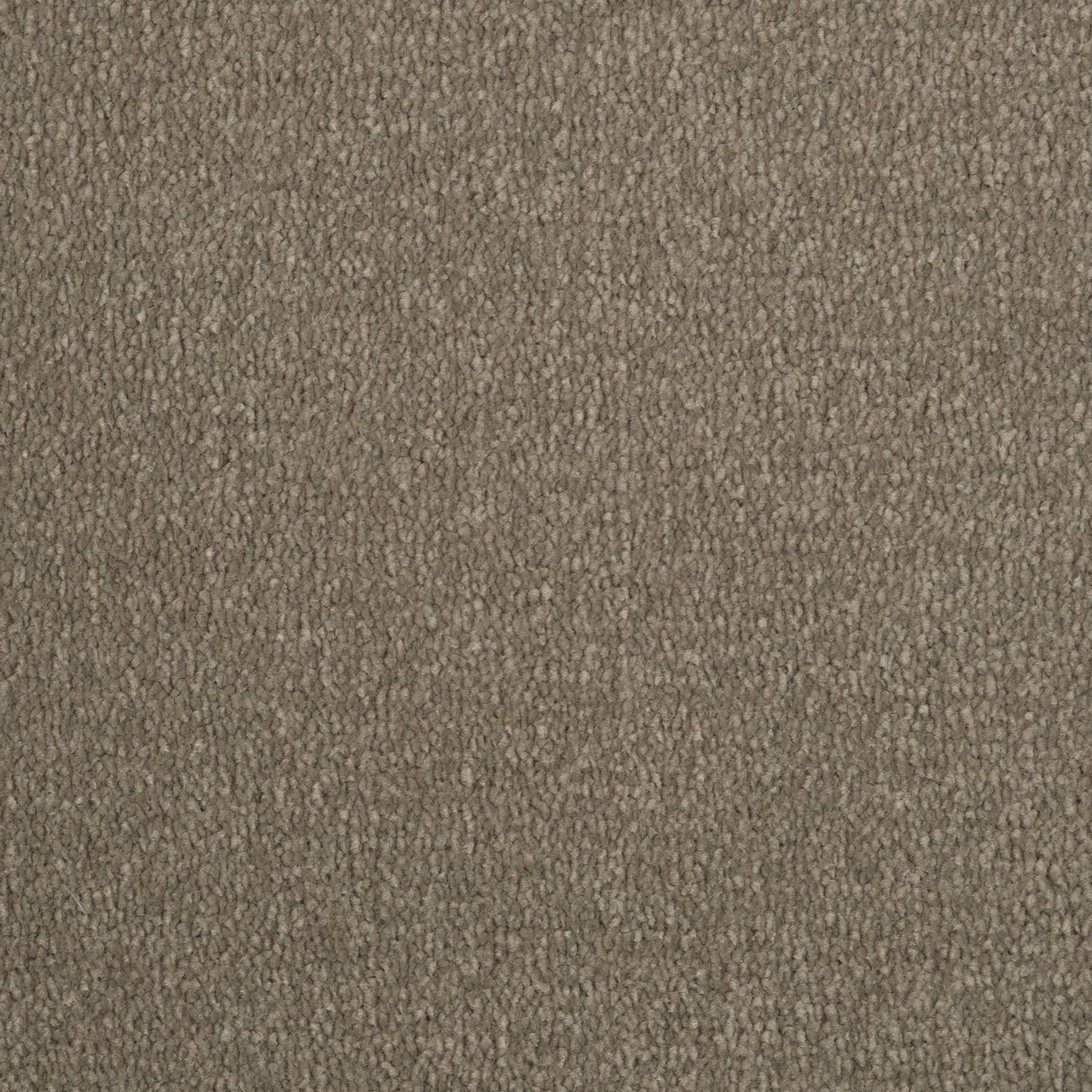 Evoke 2609