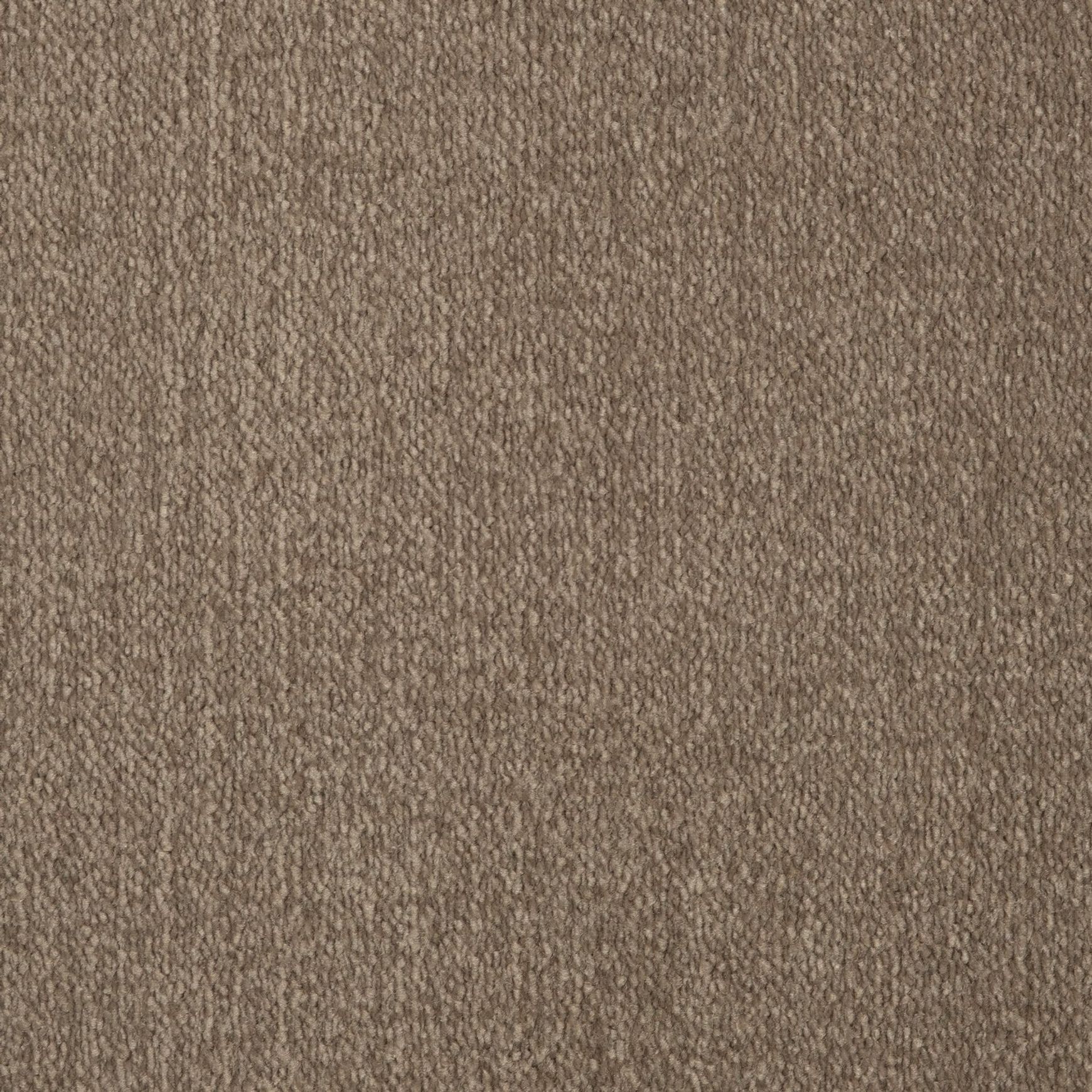 Evoke 2609