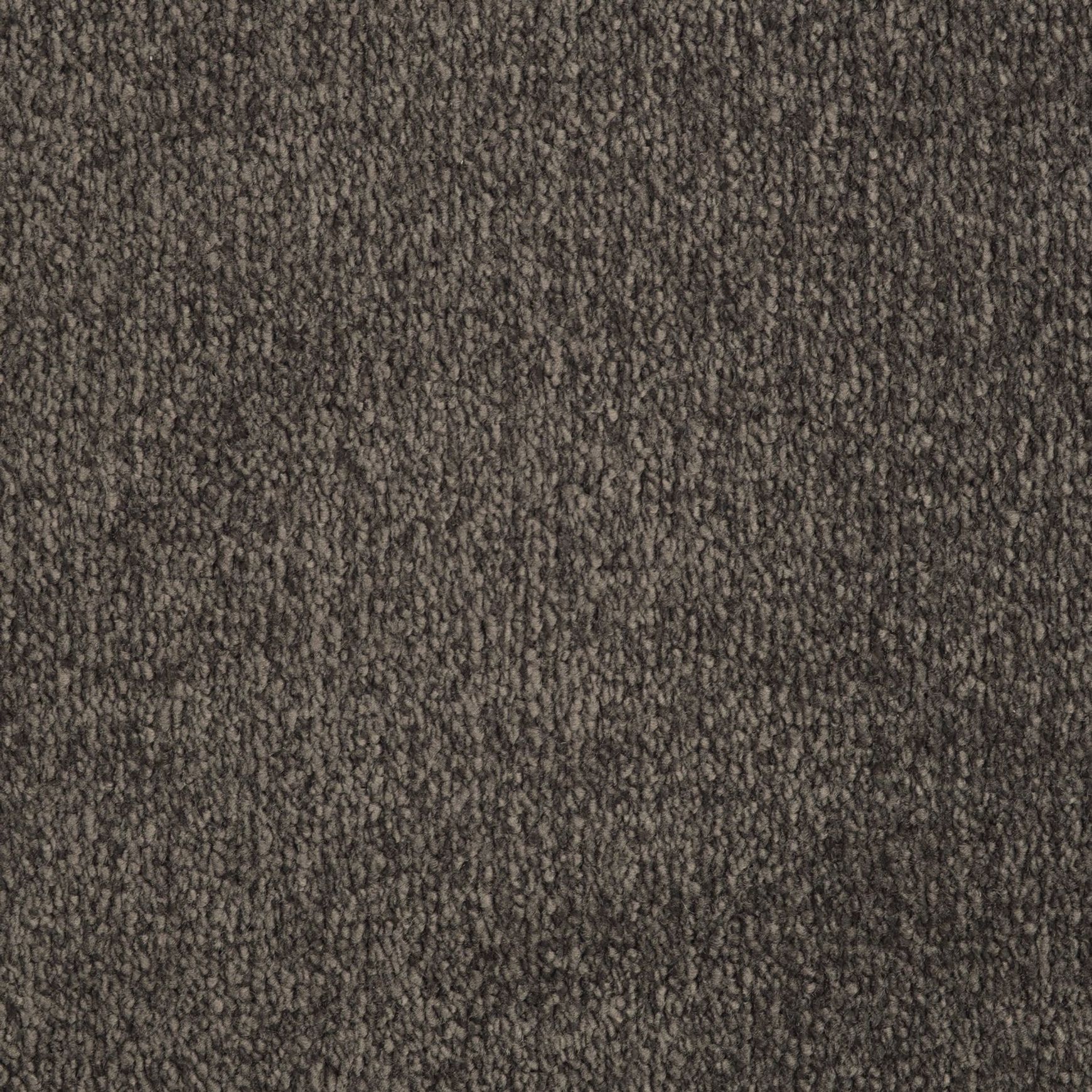 Evoke 2609