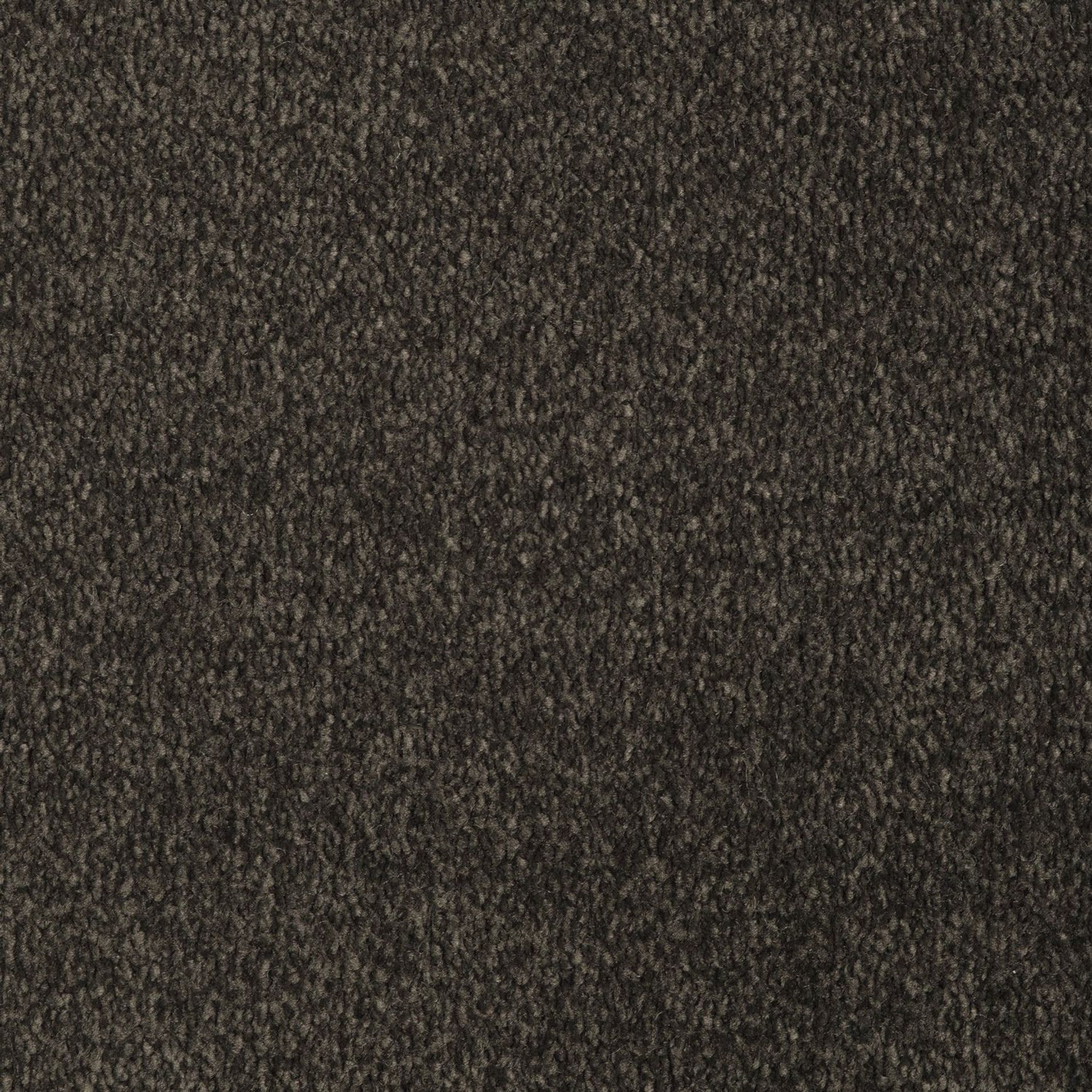 Evoke 2609