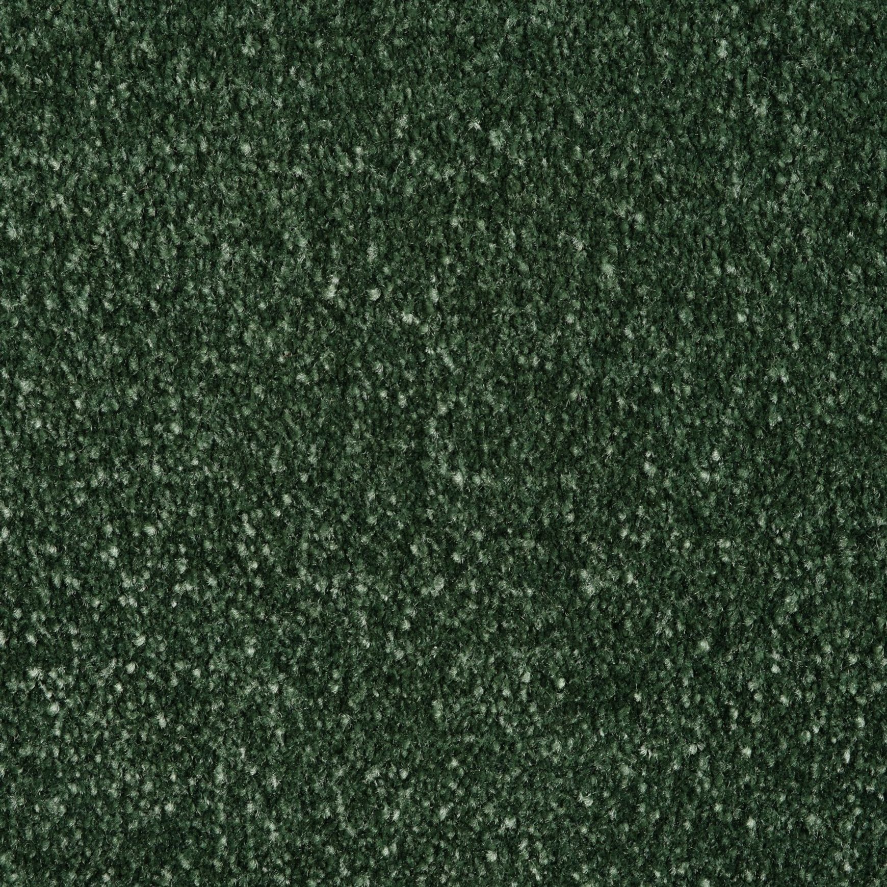Evoke 2610