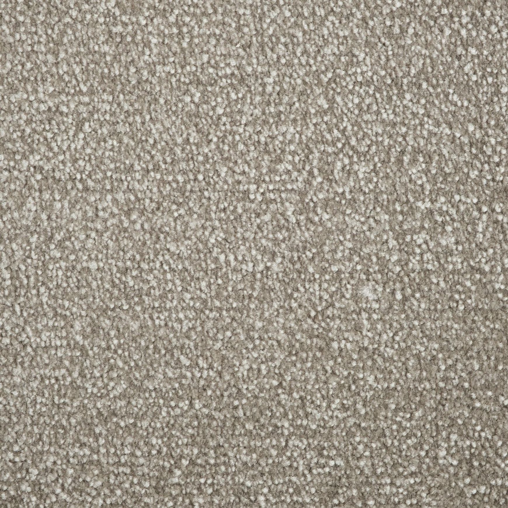 Evoke 2610
