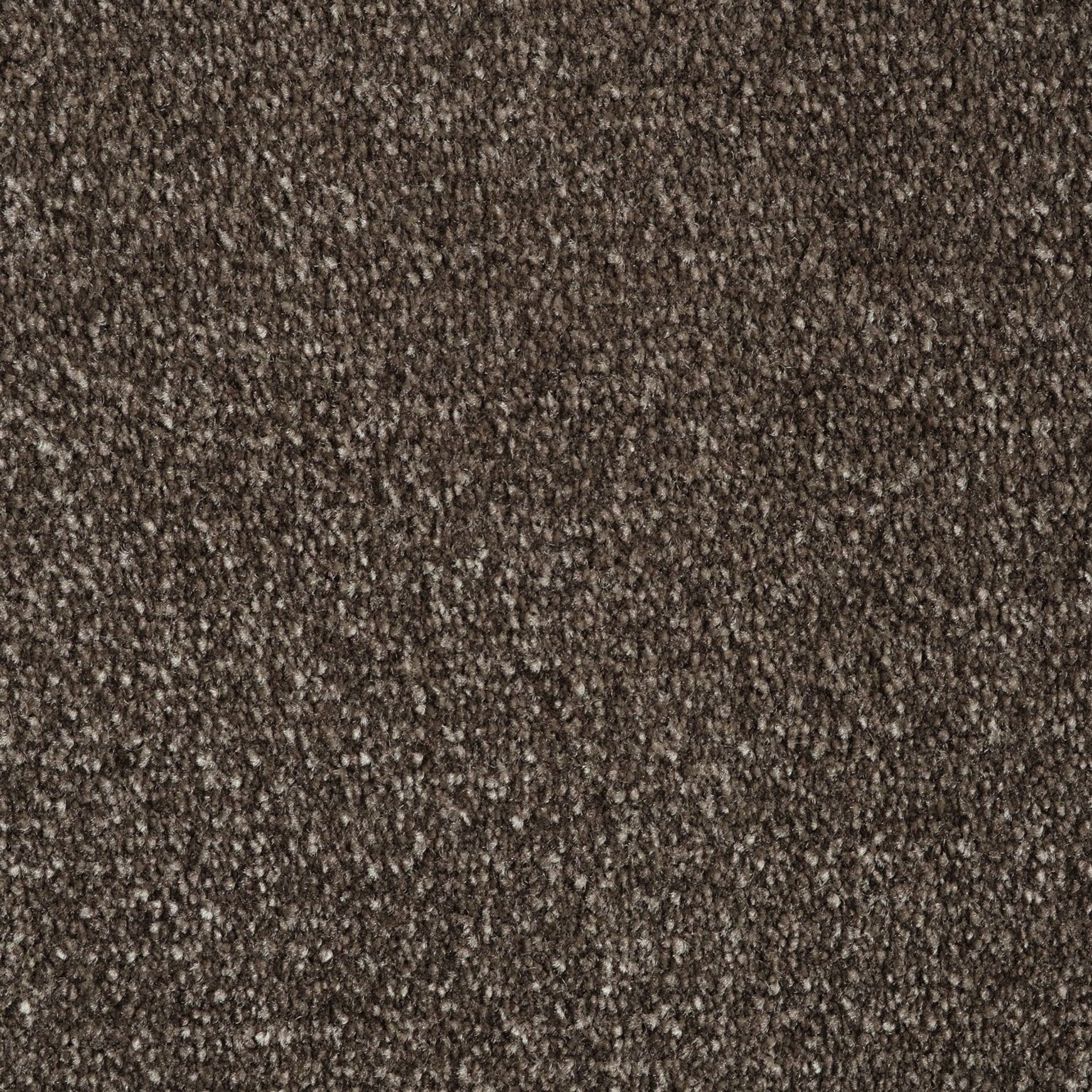 Evoke 2610
