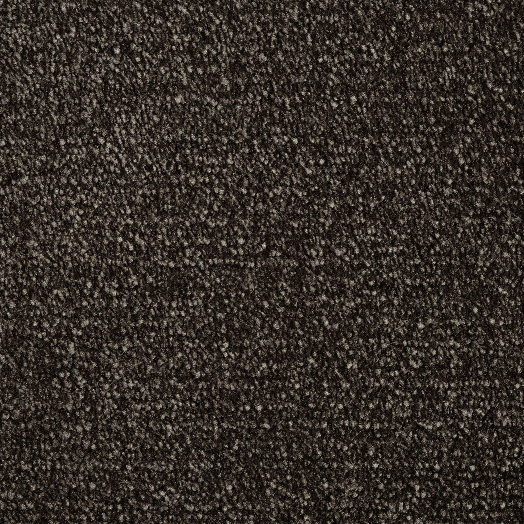 Evoke 2610