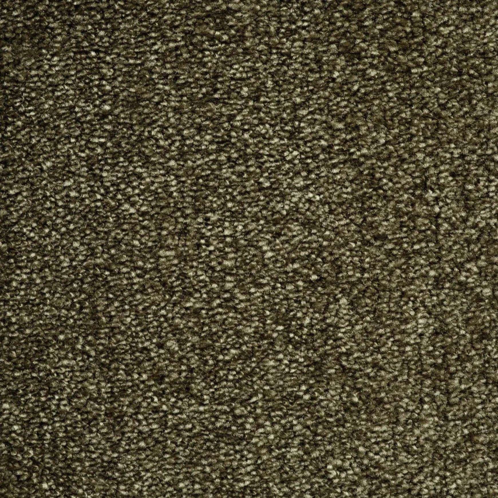 Evoke 2615