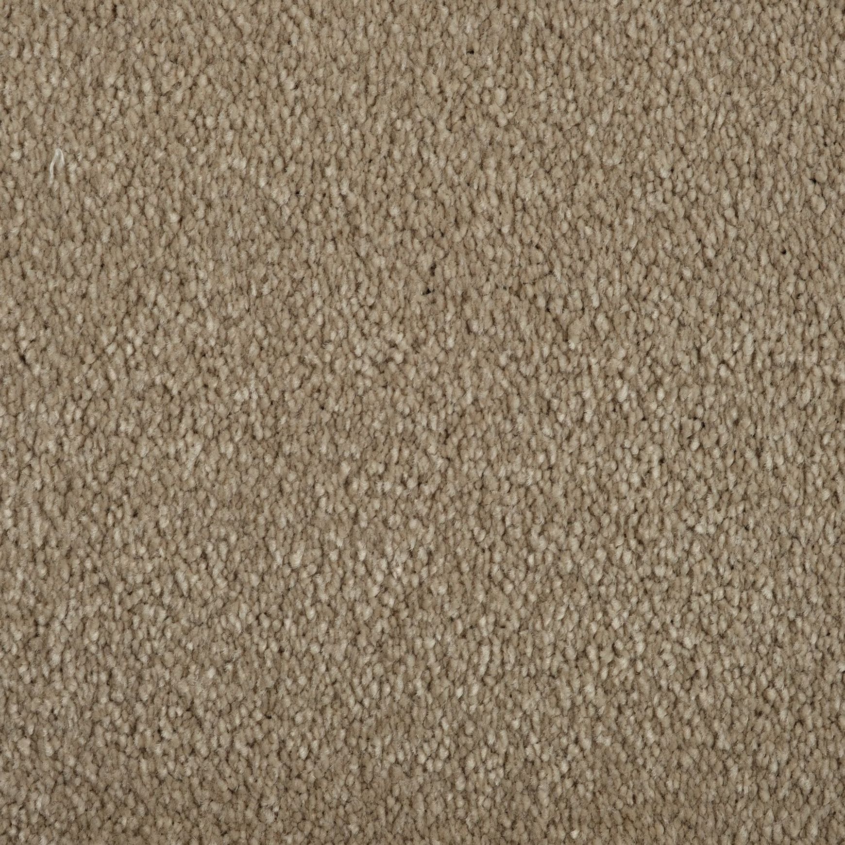 Evoke 2616