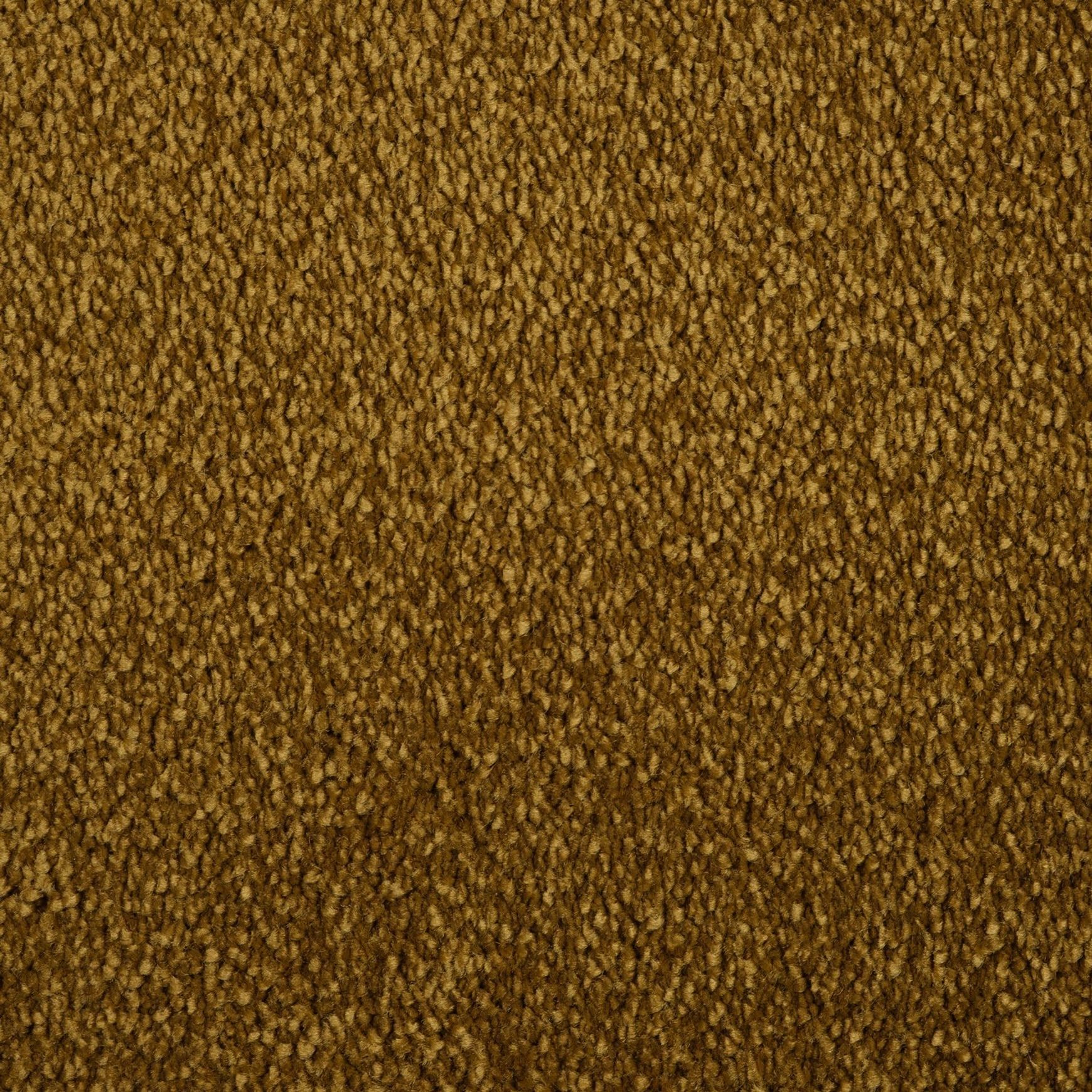 Evoke 2616