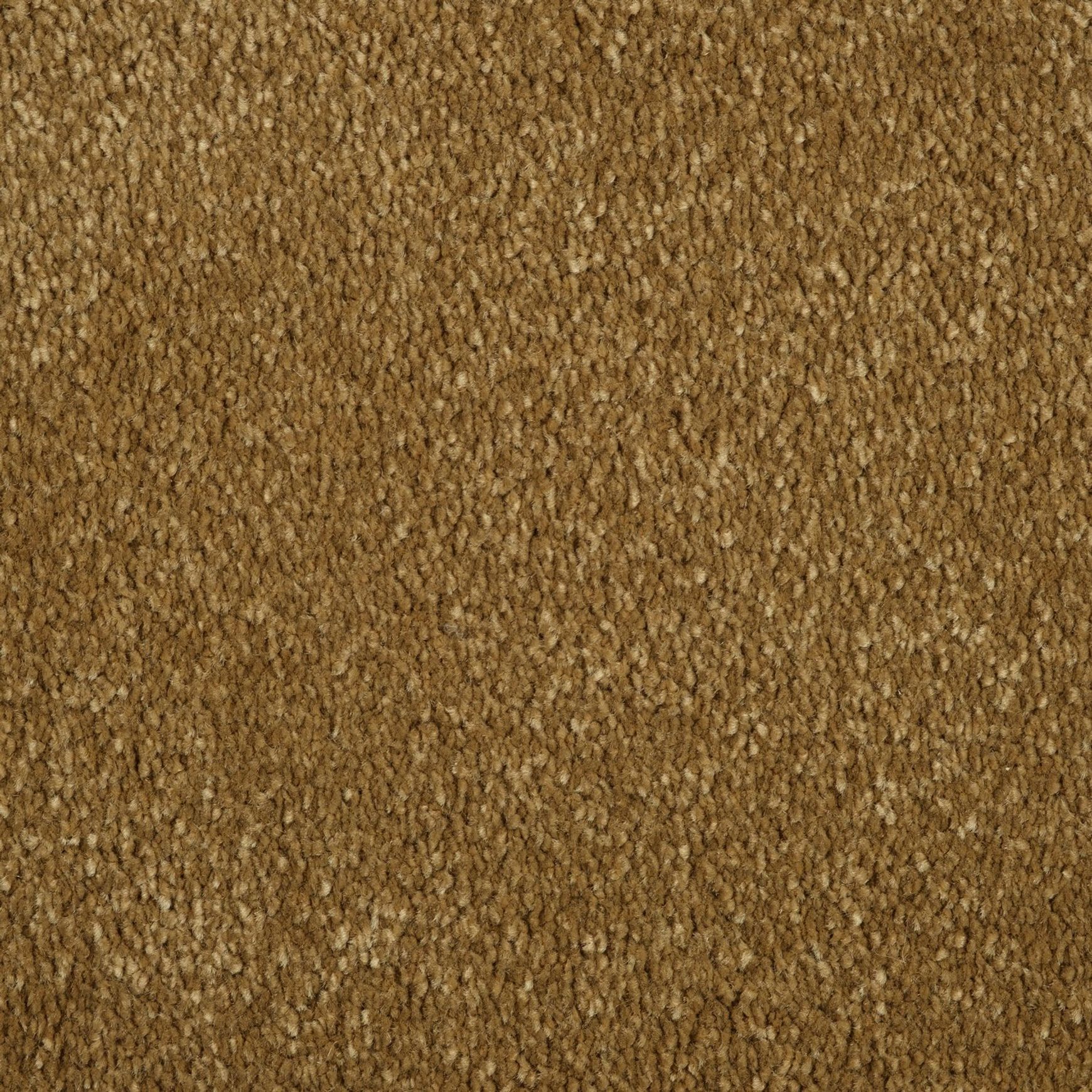 Evoke 2616
