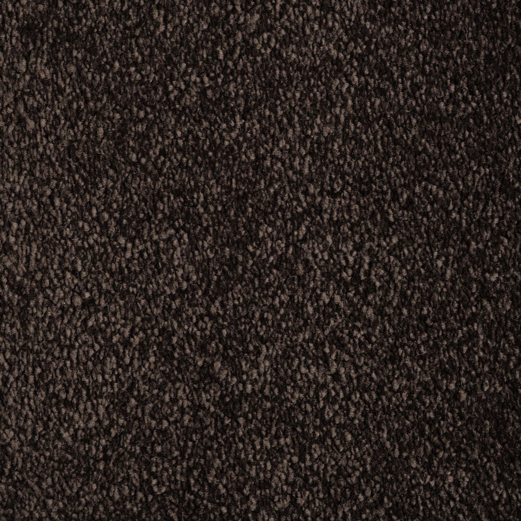 Evoke 2616