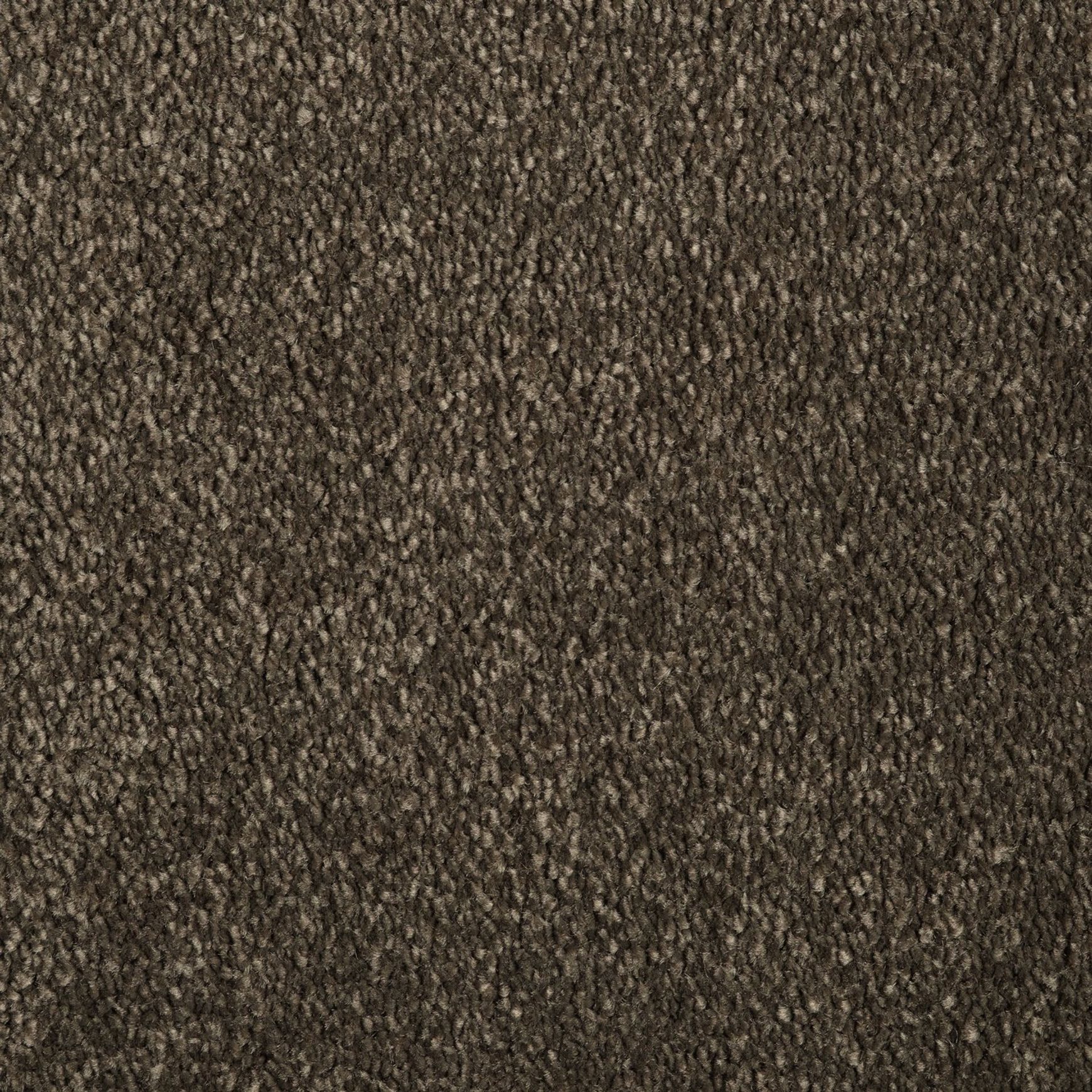 Evoke 2616