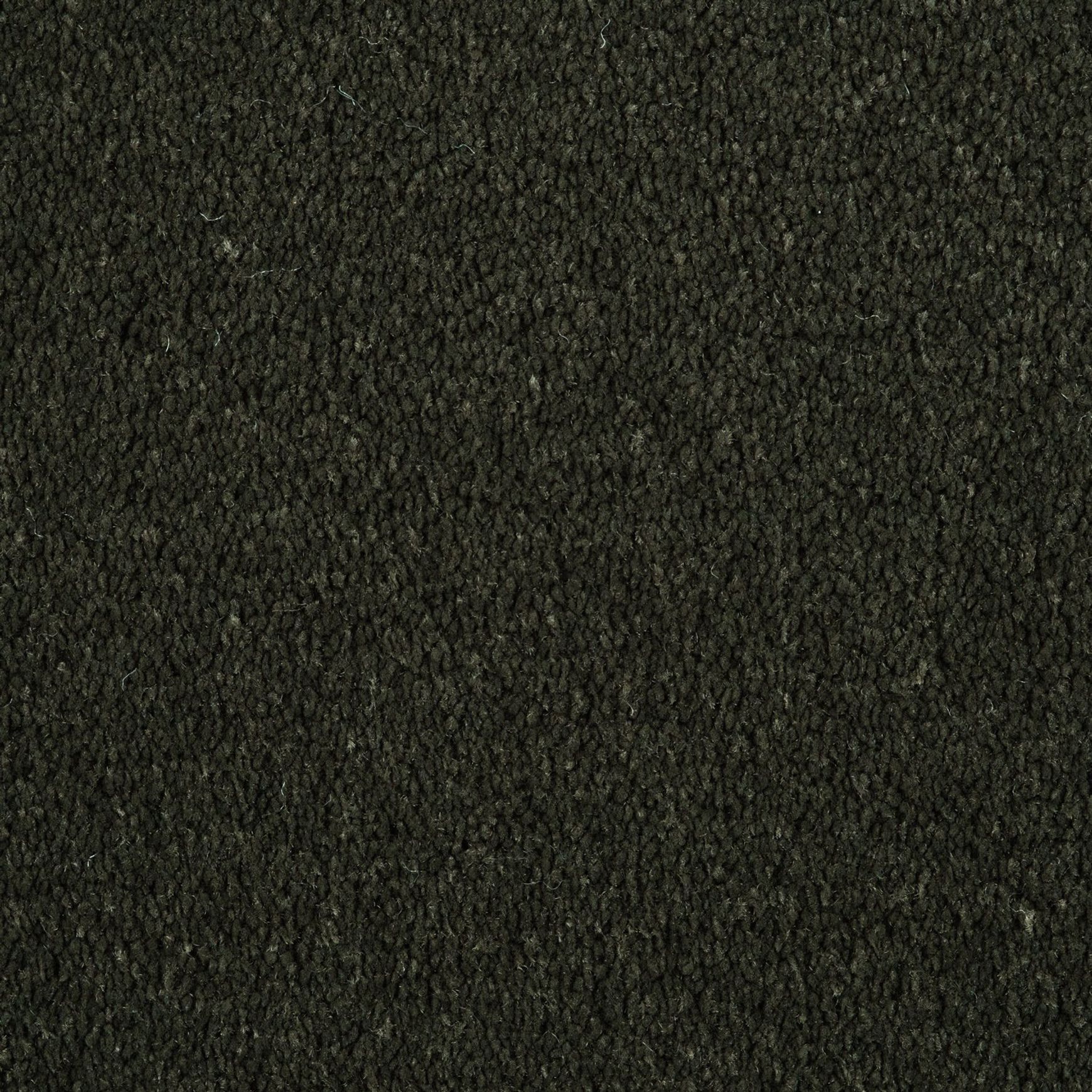 Evoke 2616