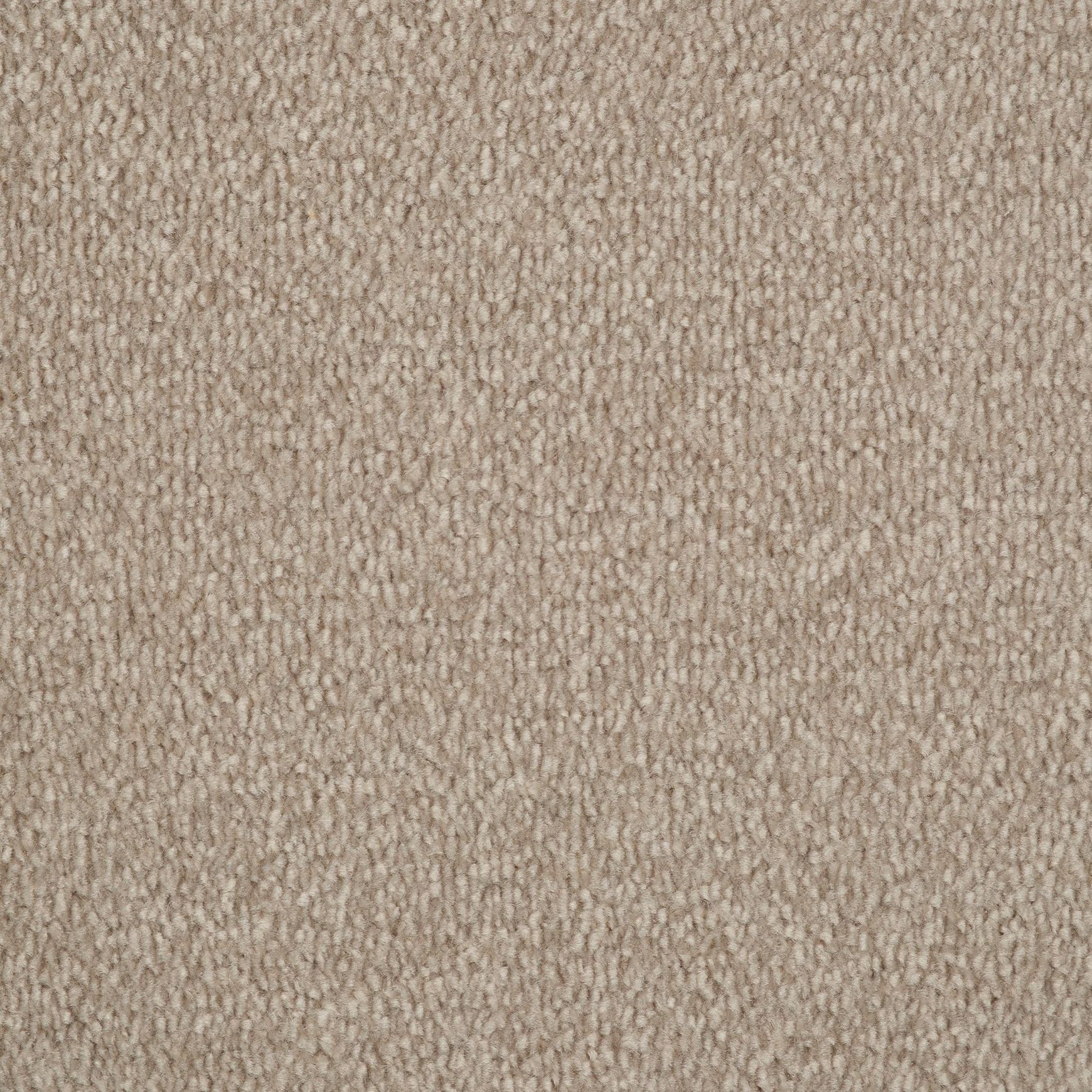 Evoke 2622