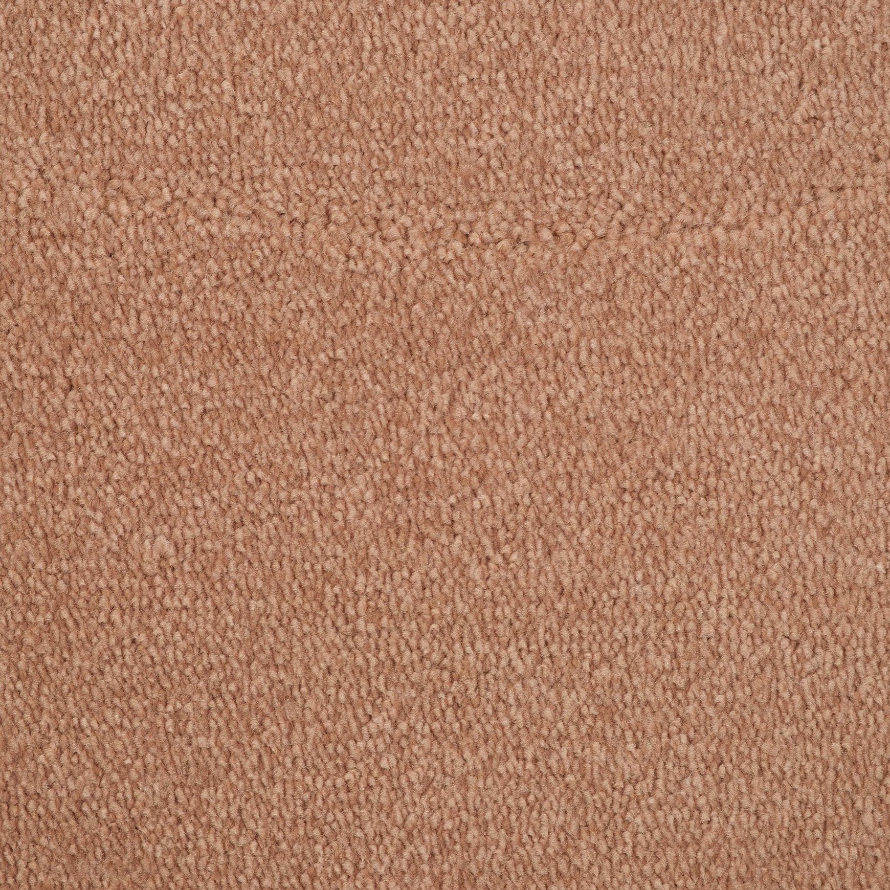 Evoke 2622