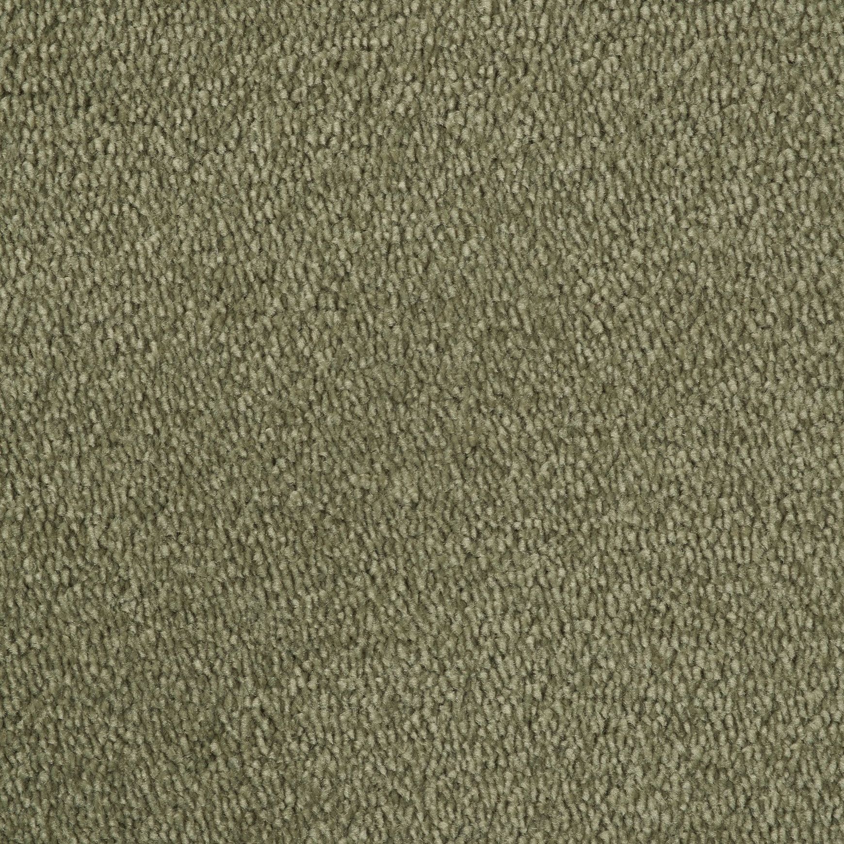 Evoke 2622