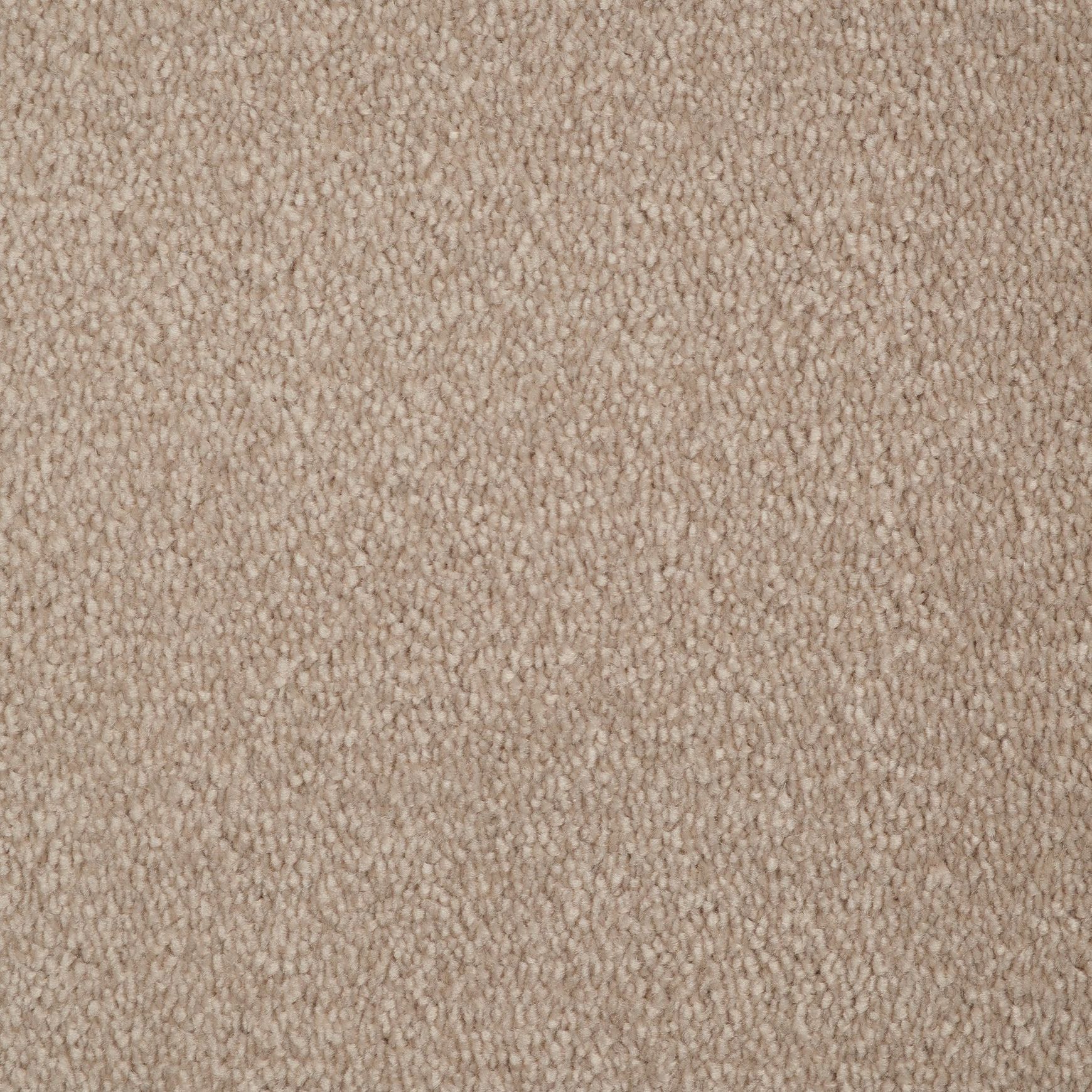 Evoke 2623