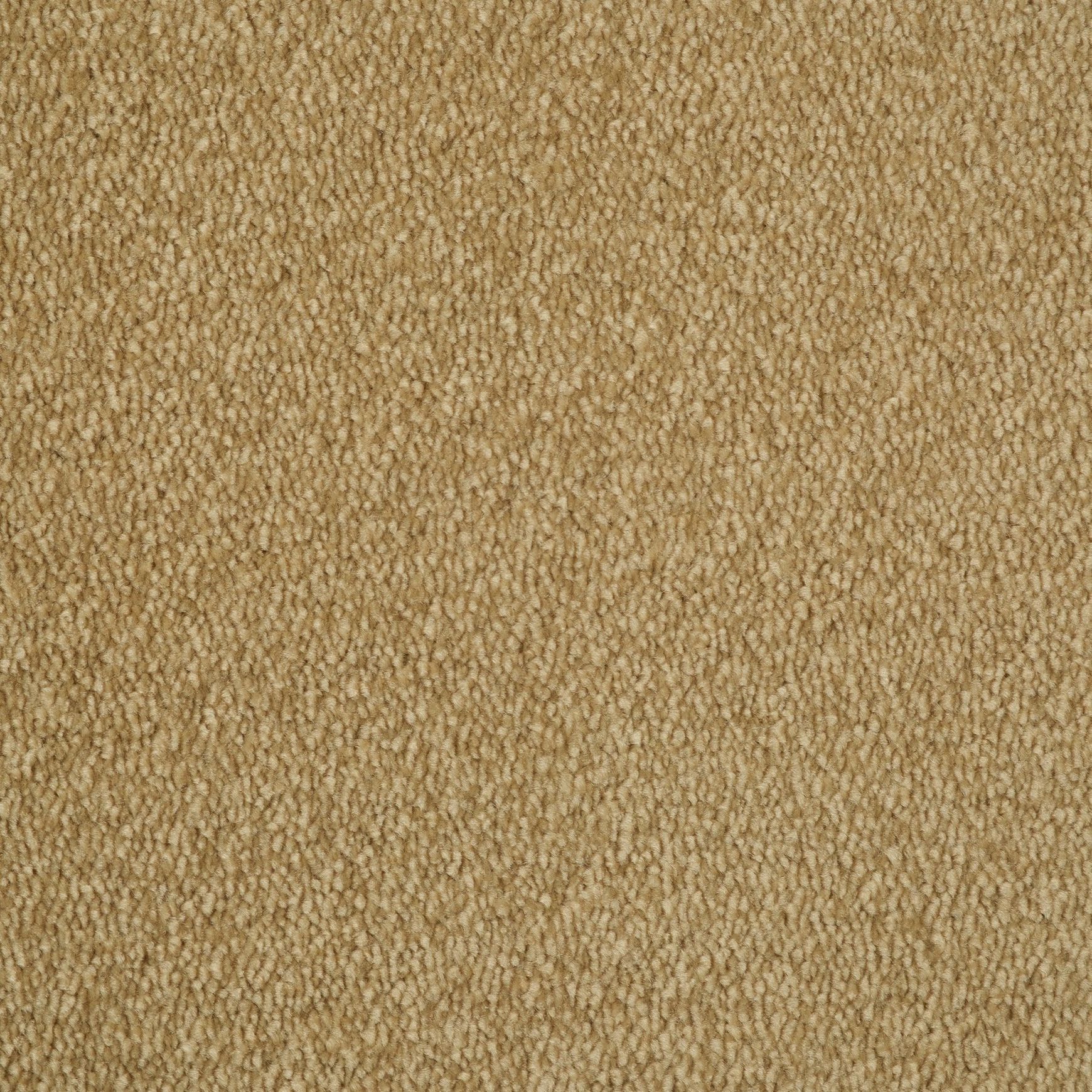 Evoke 2623